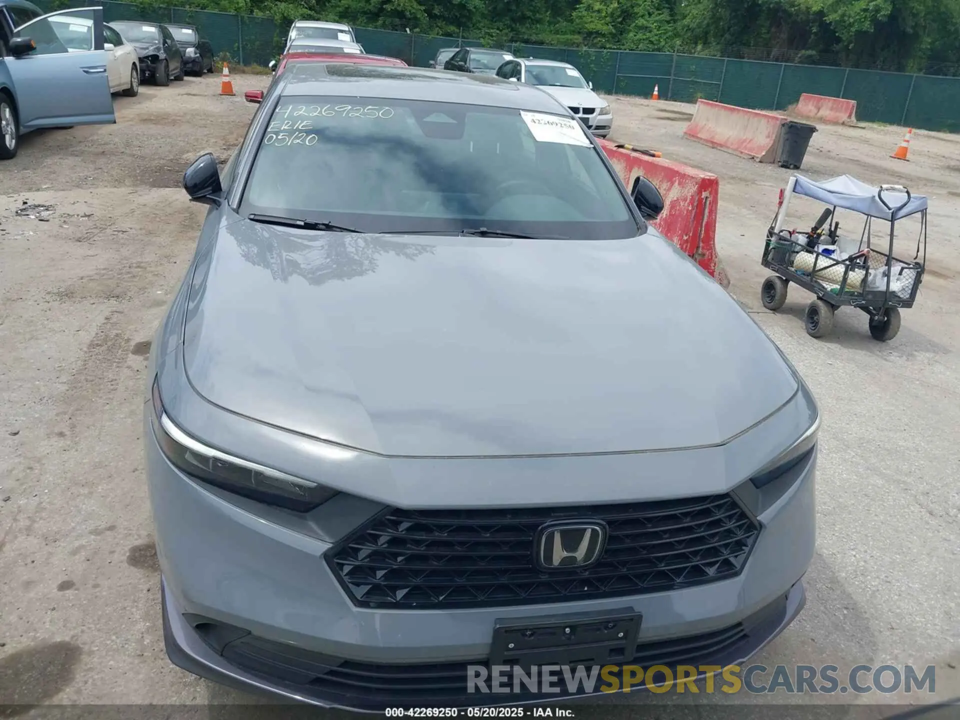 13 Photograph of a damaged car 1HGCY2F51RA015491 HONDA ACCORD 2024