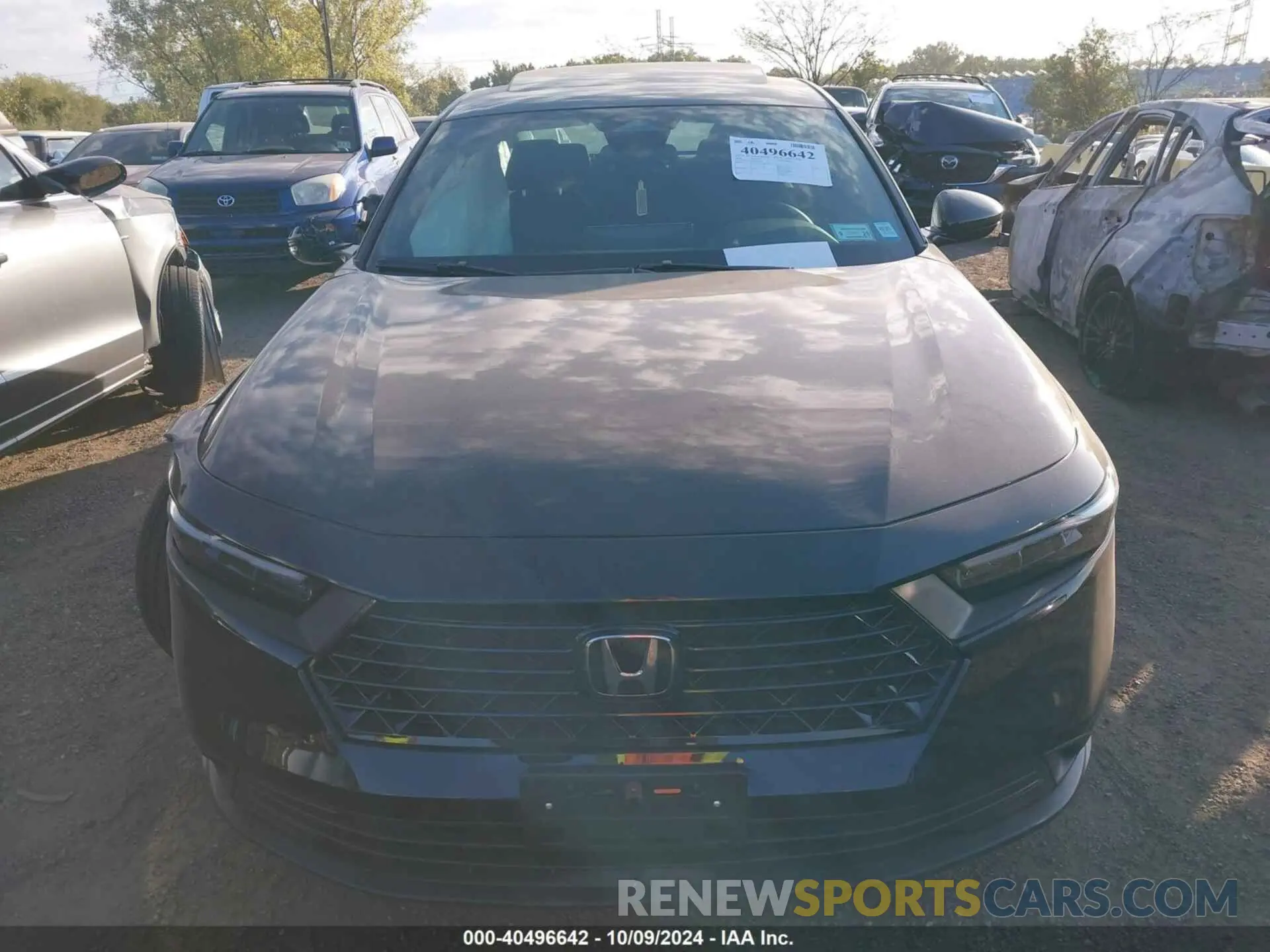 12 Photograph of a damaged car 1HGCY2F52RA081774 HONDA ACCORD 2024