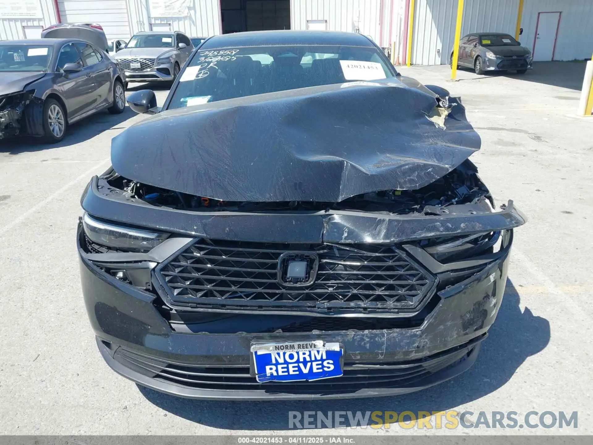 12 Photograph of a damaged car 1HGCY2F52RA092046 HONDA ACCORD 2024