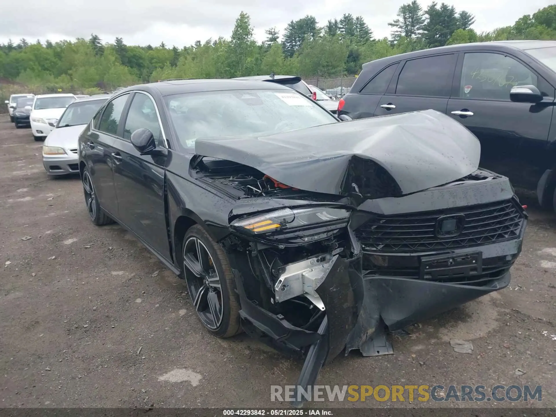 13 Photograph of a damaged car 1HGCY2F53RA002743 HONDA ACCORD 2024