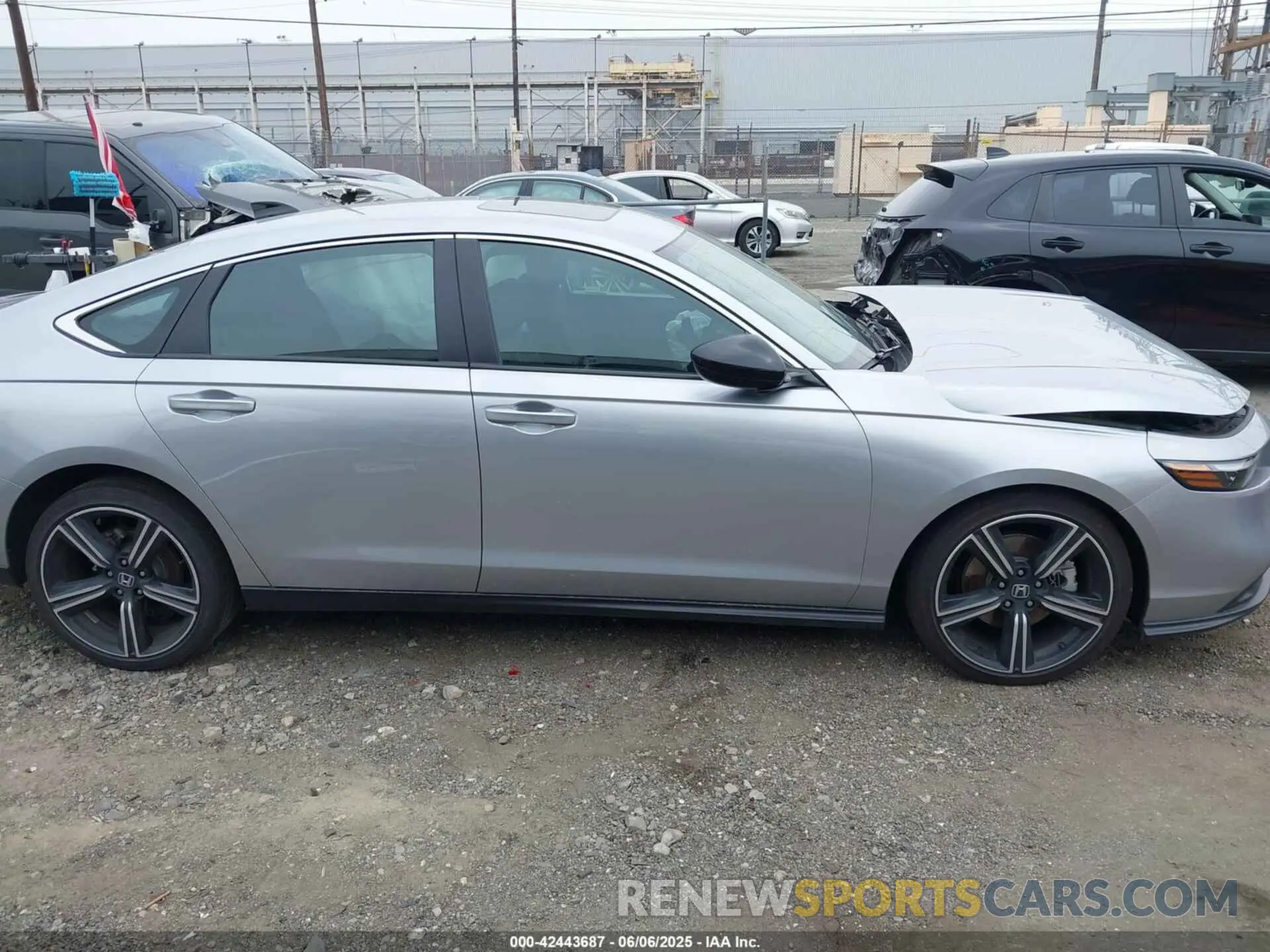13 Photograph of a damaged car 1HGCY2F55RA046081 HONDA ACCORD 2024