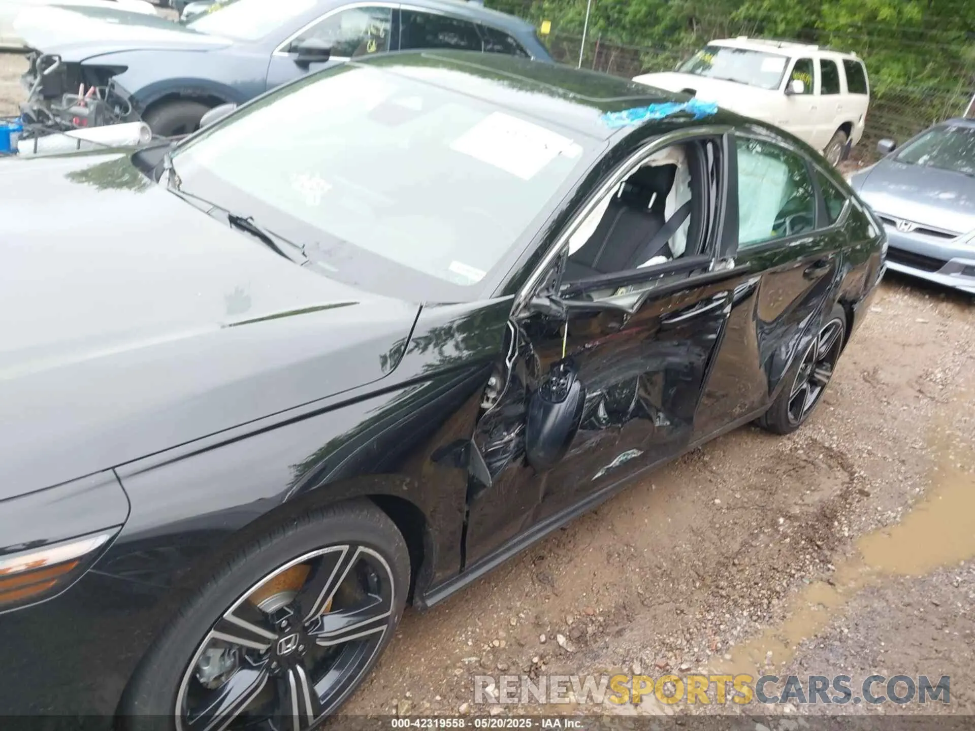 6 Photograph of a damaged car 1HGCY2F55RA061597 HONDA ACCORD 2024
