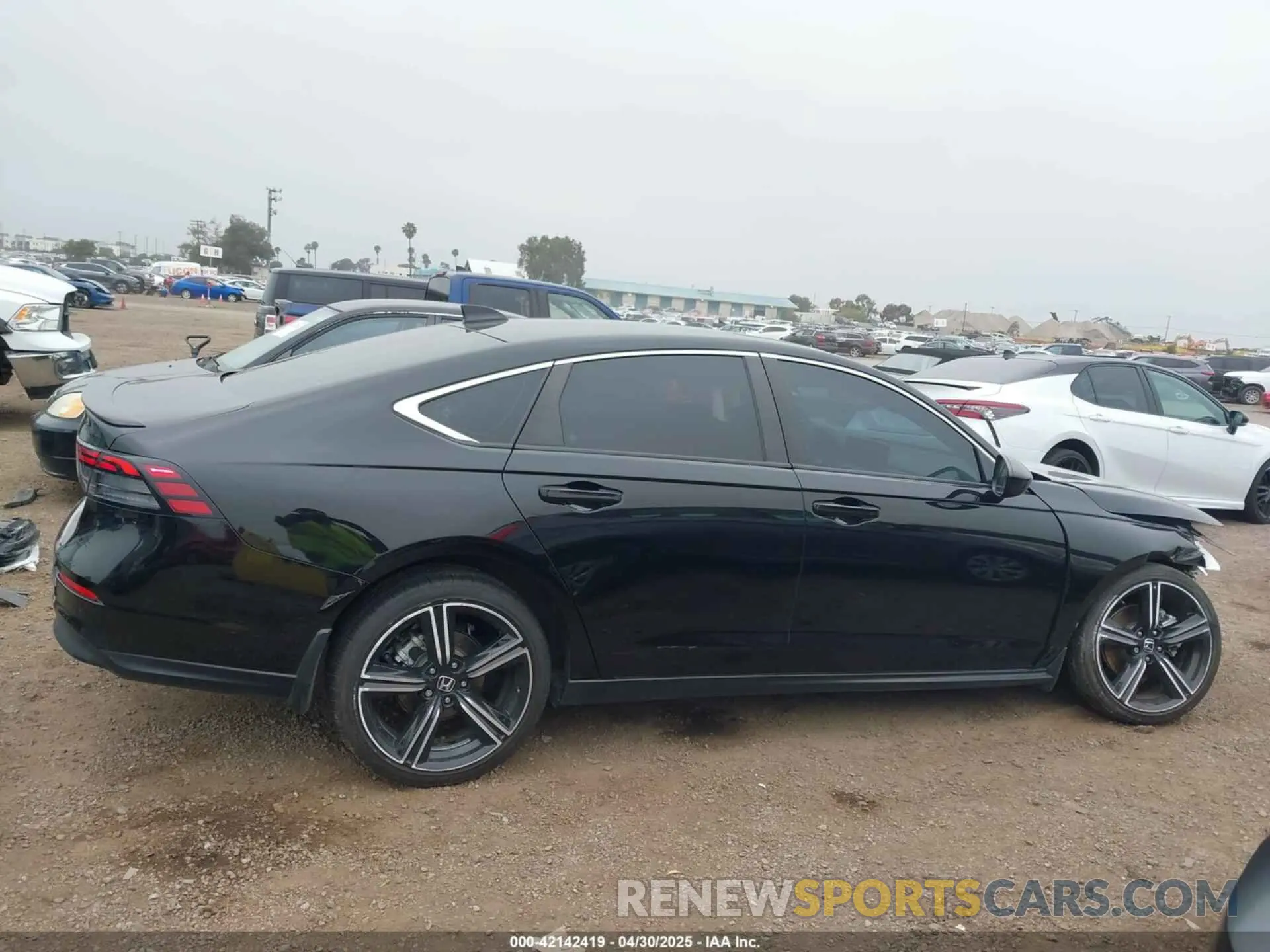 13 Photograph of a damaged car 1HGCY2F57RA009940 HONDA ACCORD 2024