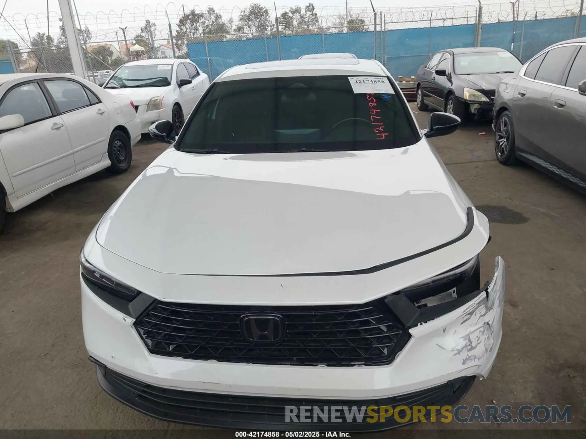 12 Photograph of a damaged car 1HGCY2F59RA066740 HONDA ACCORD 2024