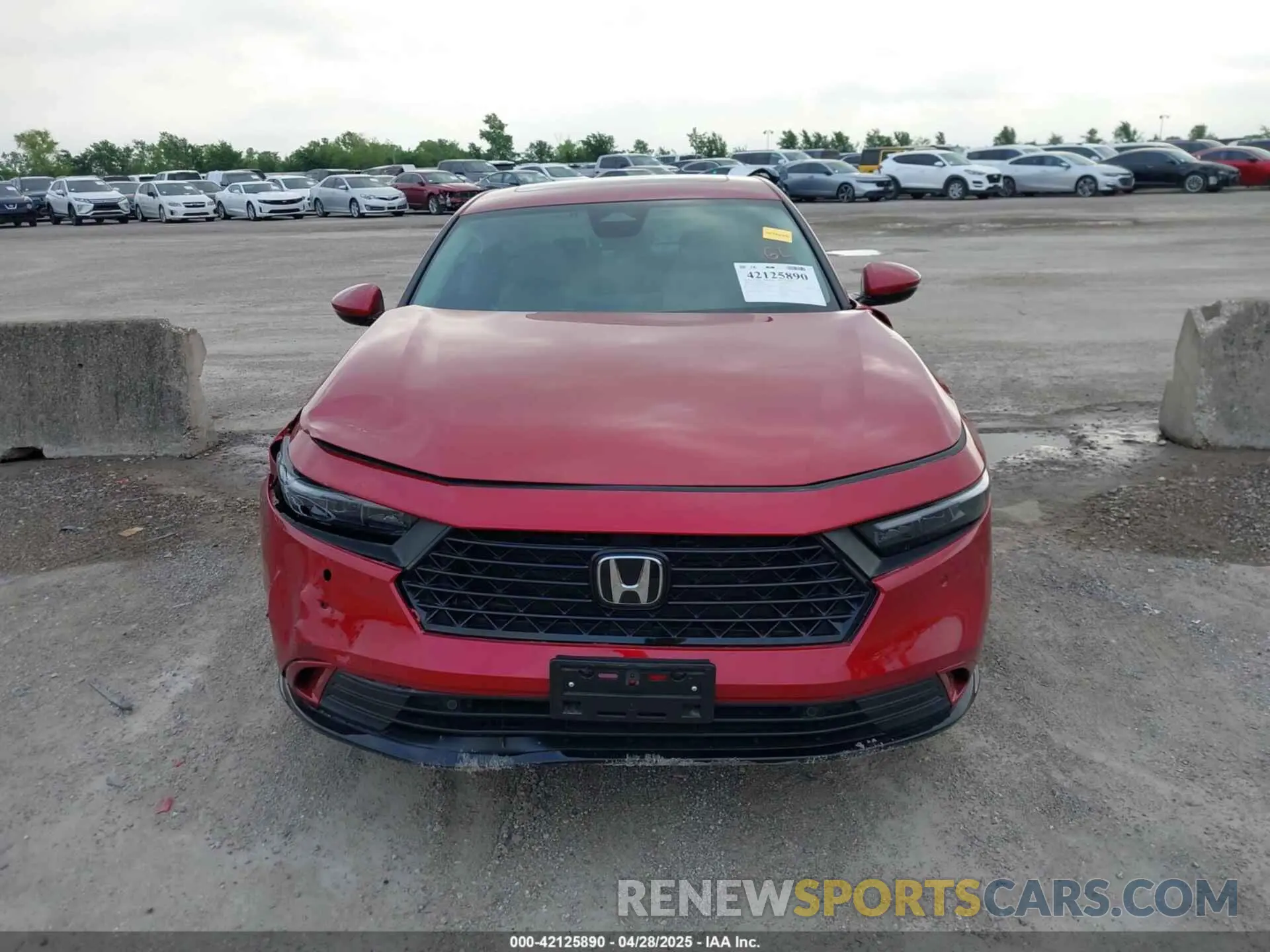 12 Photograph of a damaged car 1HGCY2F69RA090576 HONDA ACCORD 2024