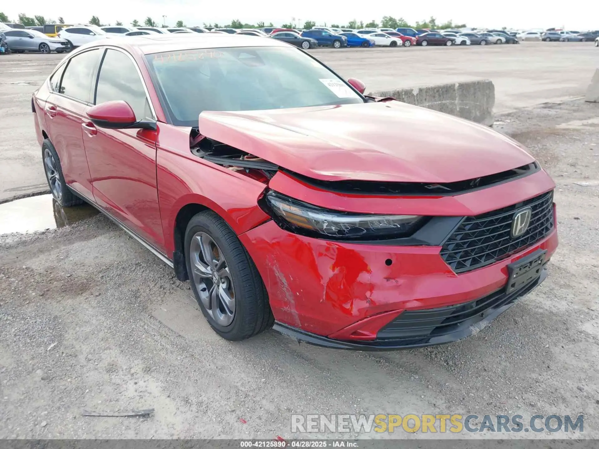 6 Photograph of a damaged car 1HGCY2F69RA090576 HONDA ACCORD 2024