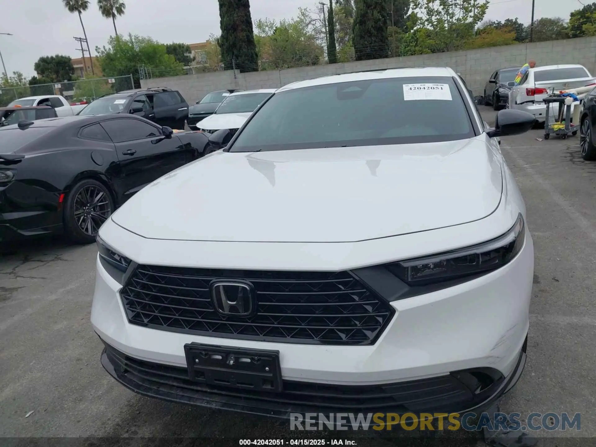 12 Photograph of a damaged car 1HGCY2F71RA090371 HONDA ACCORD 2024