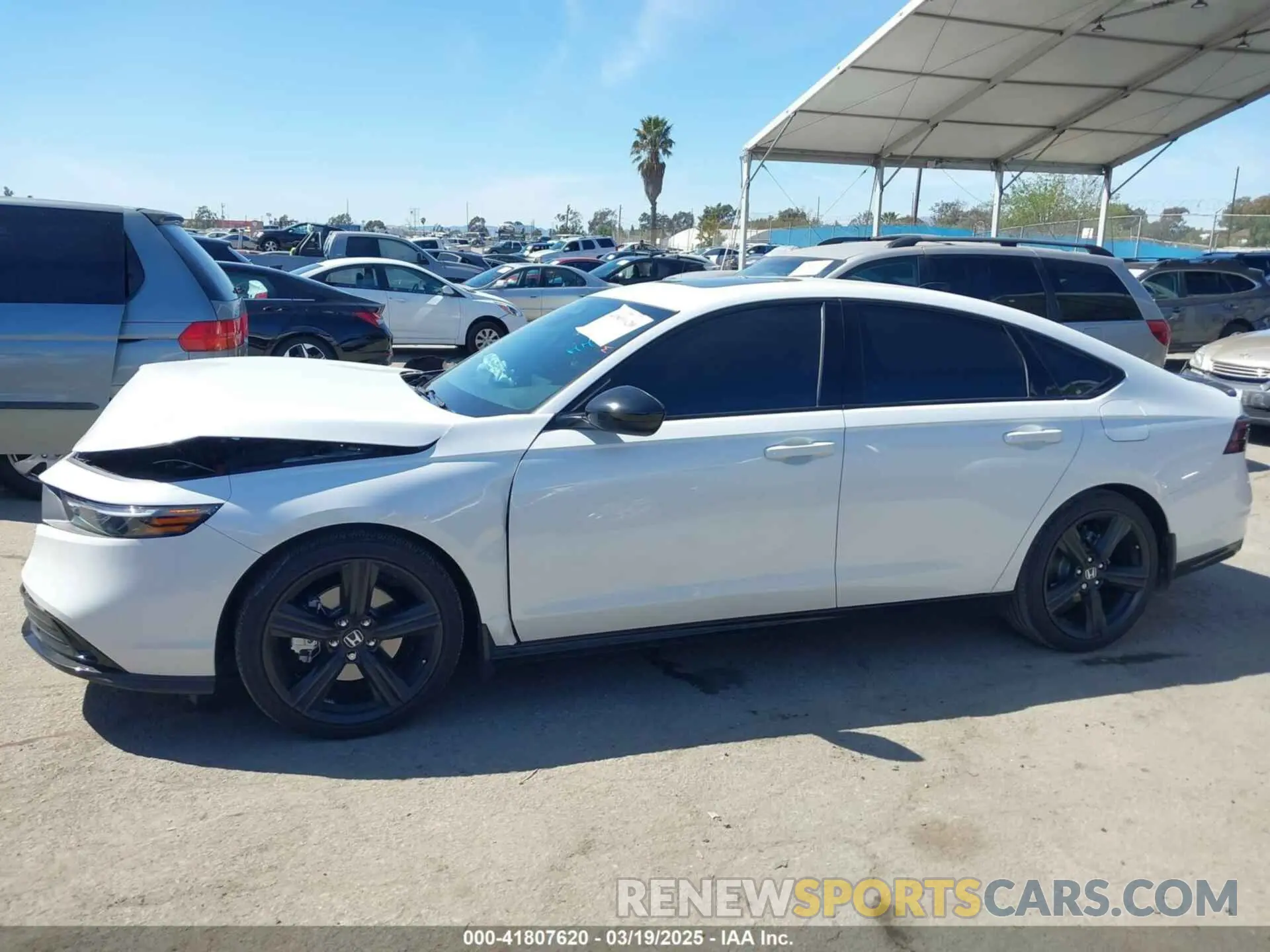 14 Photograph of a damaged car 1HGCY2F73RA074298 HONDA ACCORD 2024