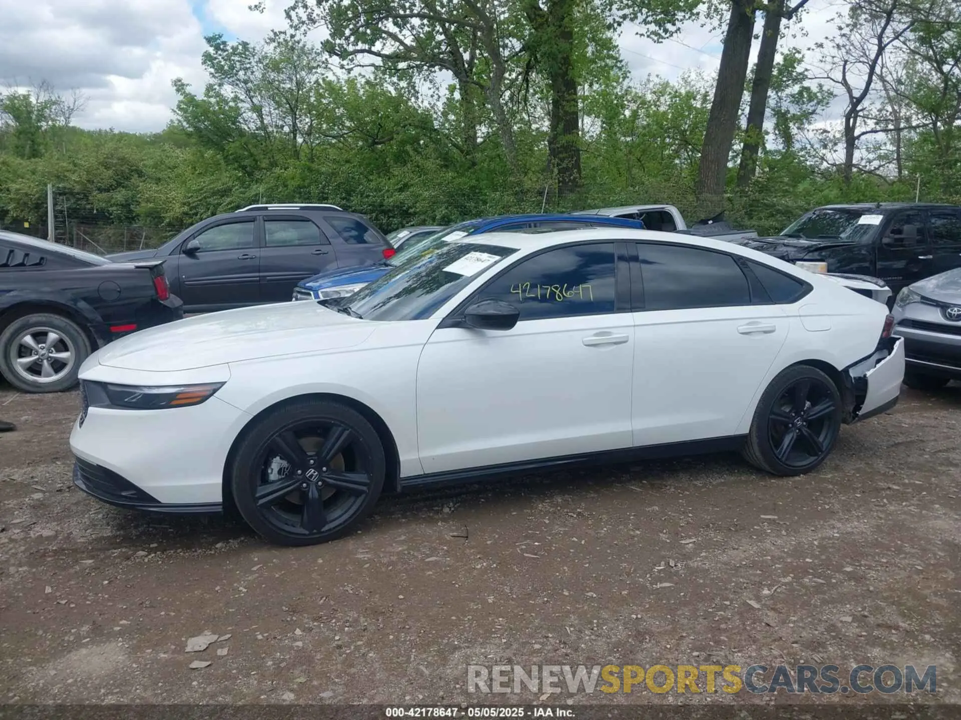 14 Photograph of a damaged car 1HGCY2F72SA005527 HONDA ACCORD 2025