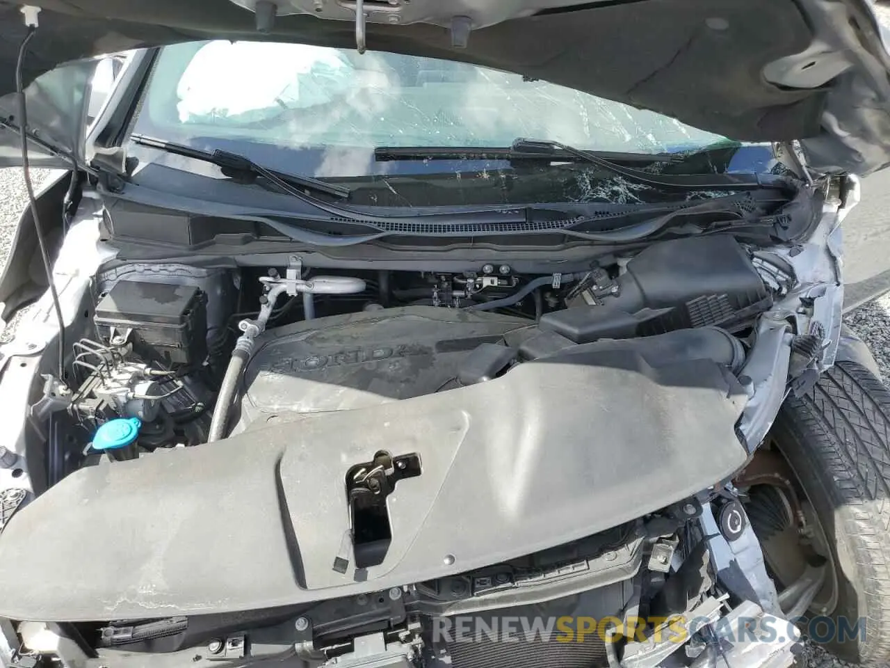 12 Photograph of a damaged car 5FNRL6H59KB101009 HONDA All Models 2019