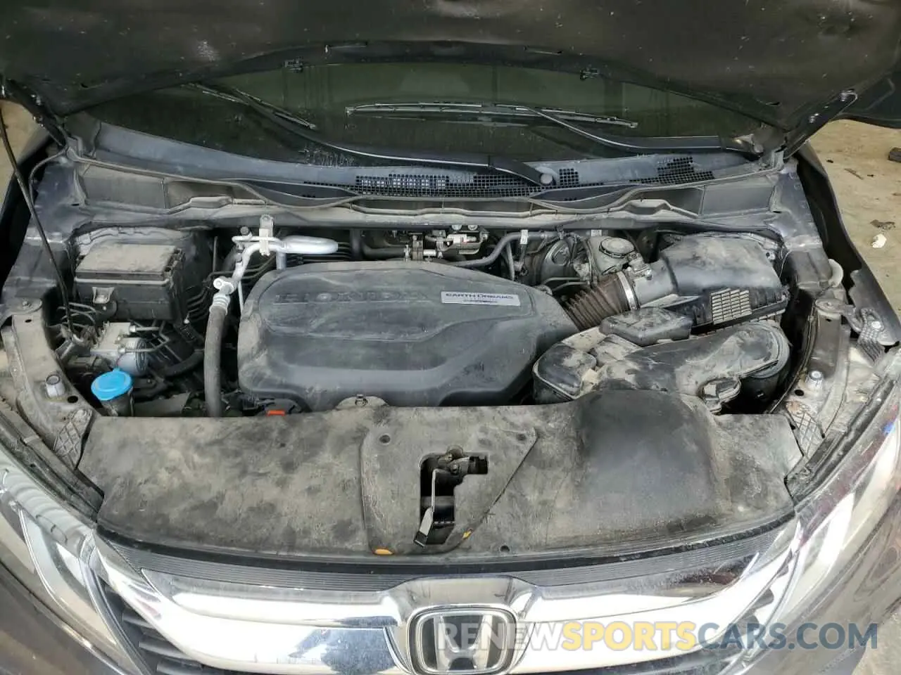 13 Photograph of a damaged car 5FNRL6H5XKB122791 HONDA All Models 2019