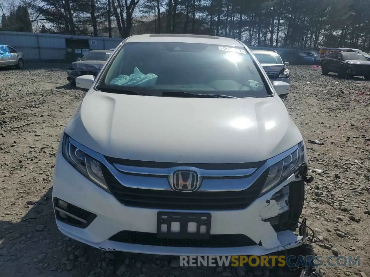5 Photograph of a damaged car 5FNRL6H70KB099491 HONDA All Models 2019