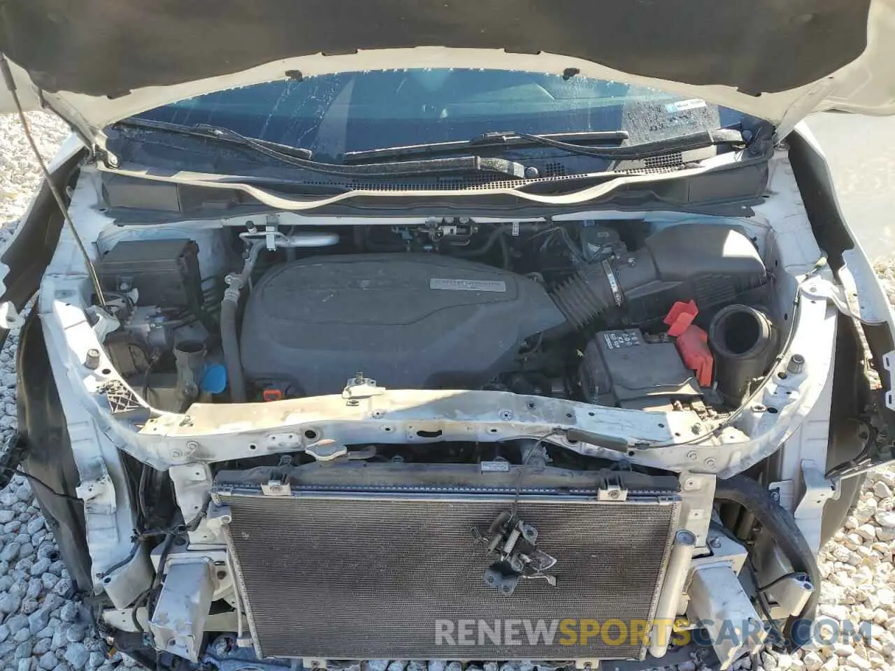 14 Photograph of a damaged car 5FNRL6H71KB071098 HONDA All Models 2019