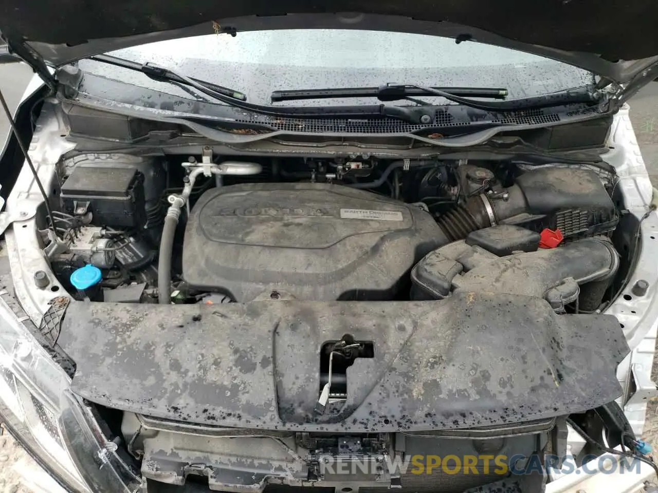12 Photograph of a damaged car 5FNRL6H74KB117846 HONDA All Models 2019