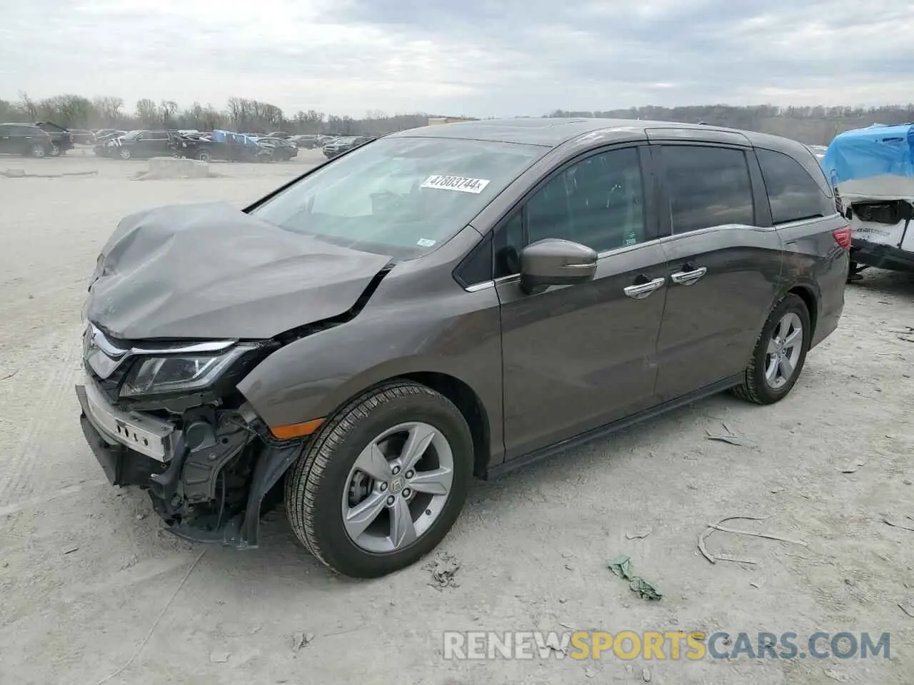 1 Photograph of a damaged car 5FNRL6H76KB059111 HONDA All Models 2019
