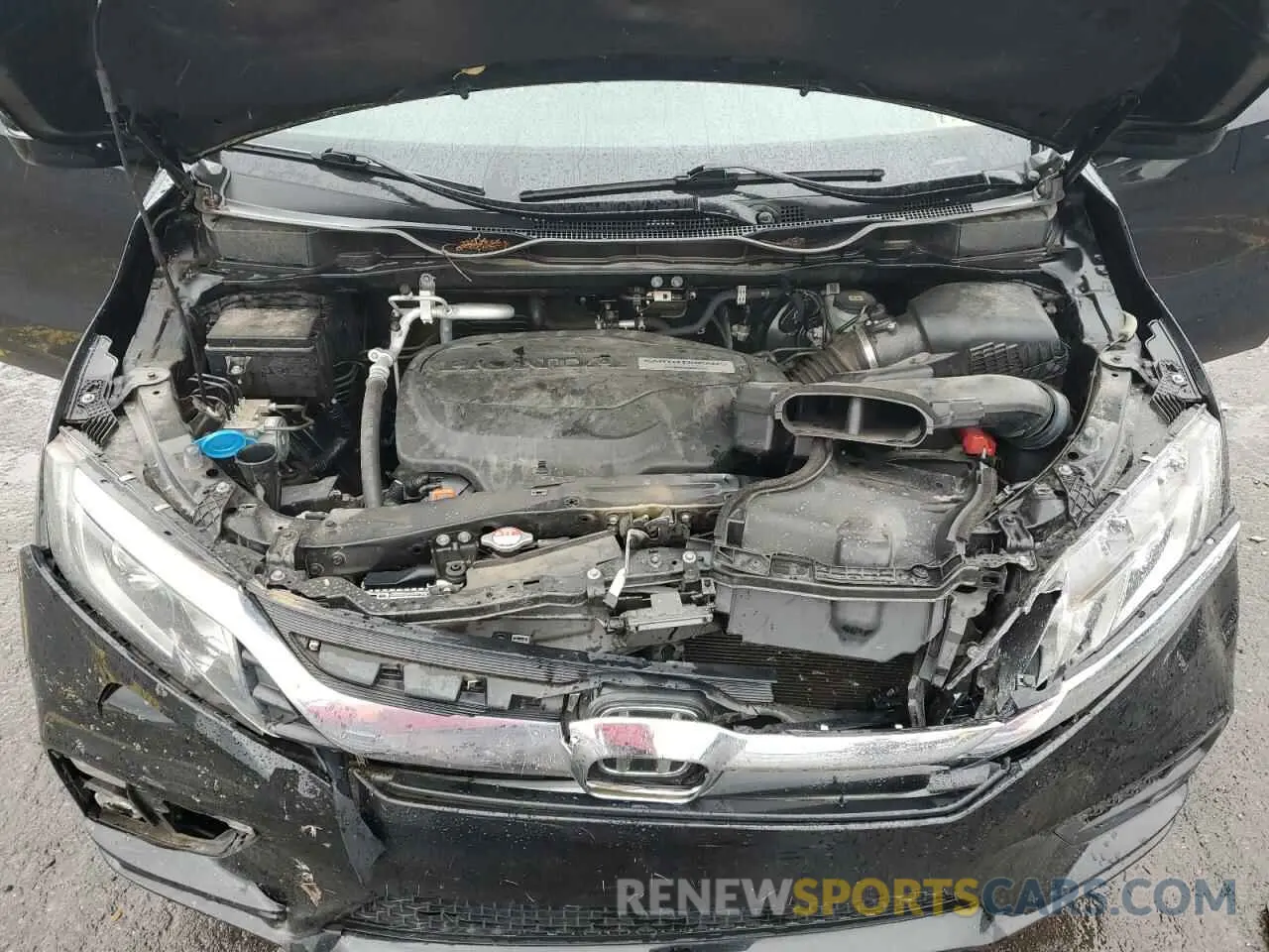 12 Photograph of a damaged car 5FNRL6H76KB124717 HONDA All Models 2019