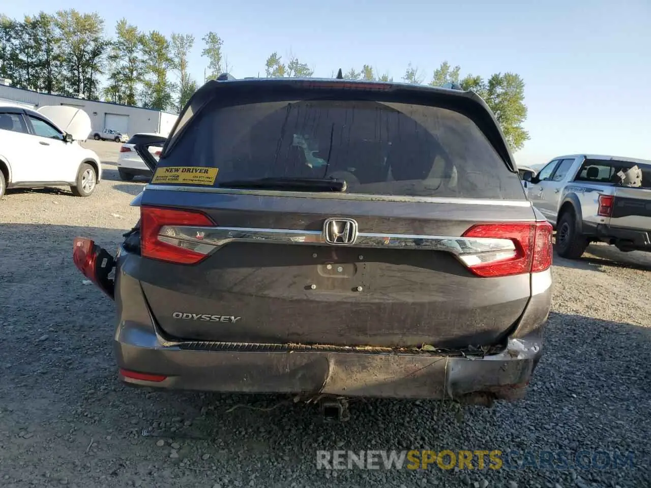 6 Photograph of a damaged car 5FNRL6H7XKB038682 HONDA All Models 2019