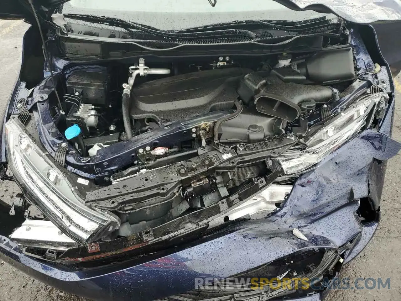 12 Photograph of a damaged car 5FNRL6H55NB020366 HONDA All Models 2022