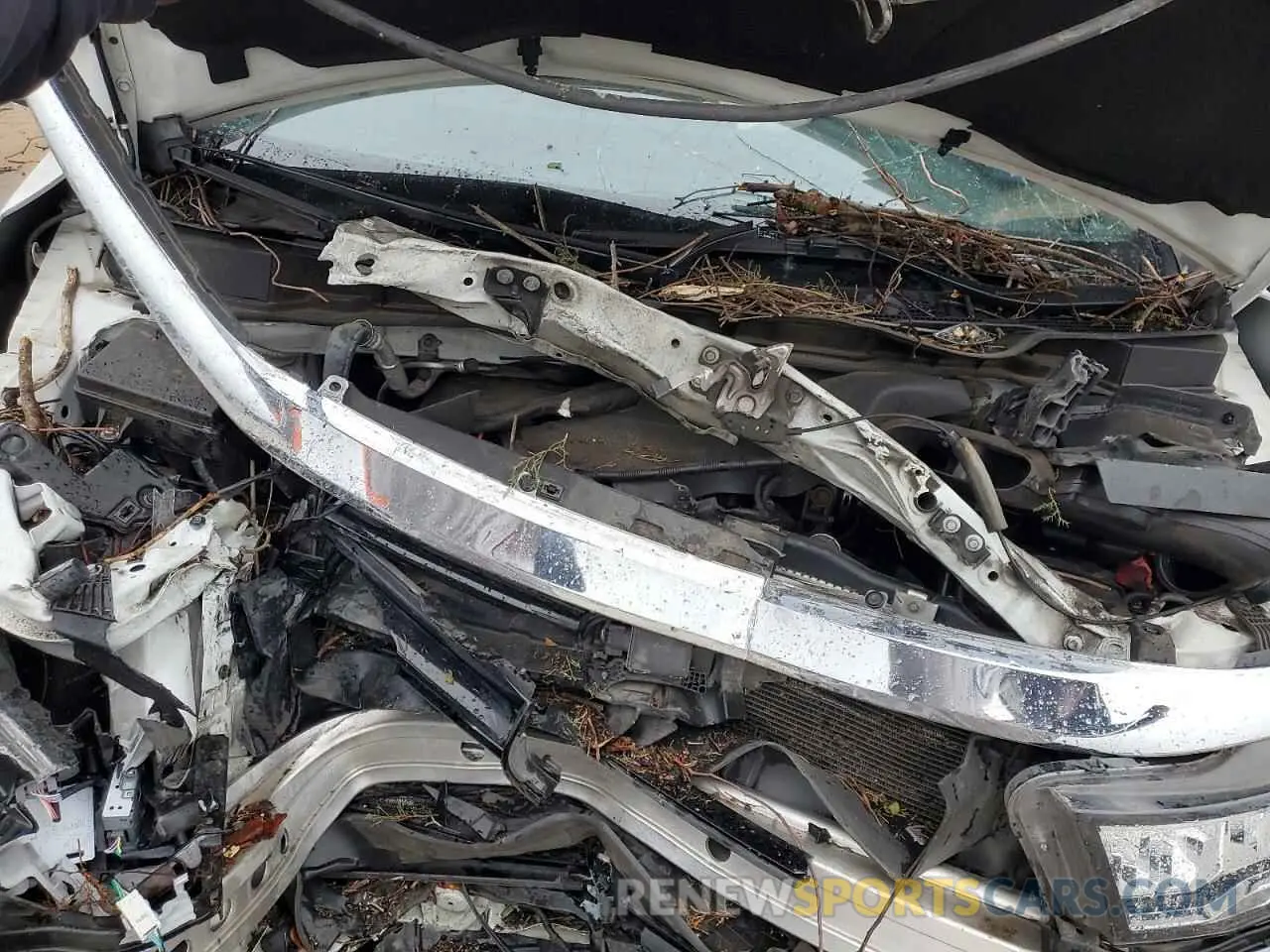 11 Photograph of a damaged car 5FNRL6H64PB041981 HONDA All Models 2023