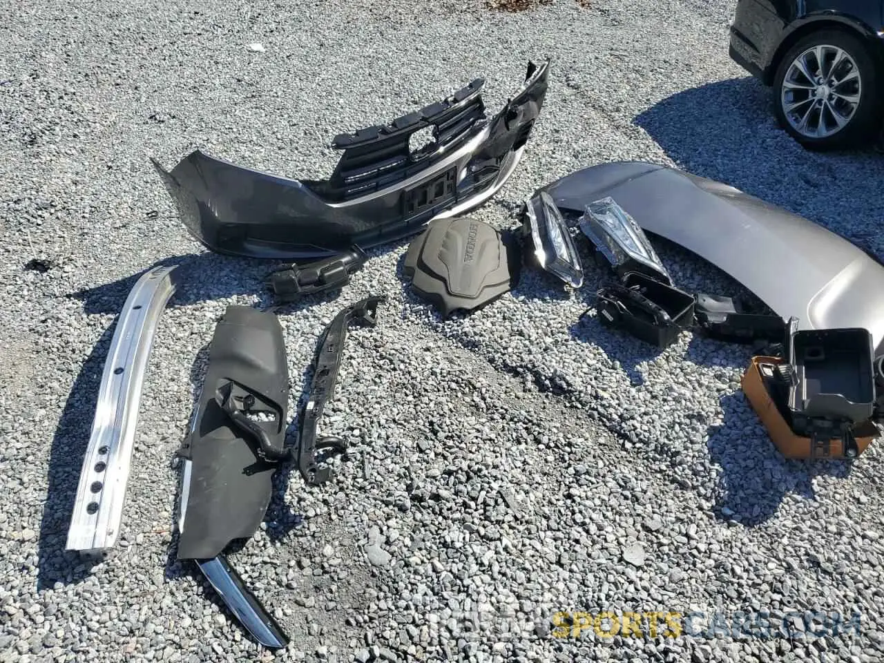 13 Photograph of a damaged car 5FNRL6H58RB074850 HONDA All Models 2024