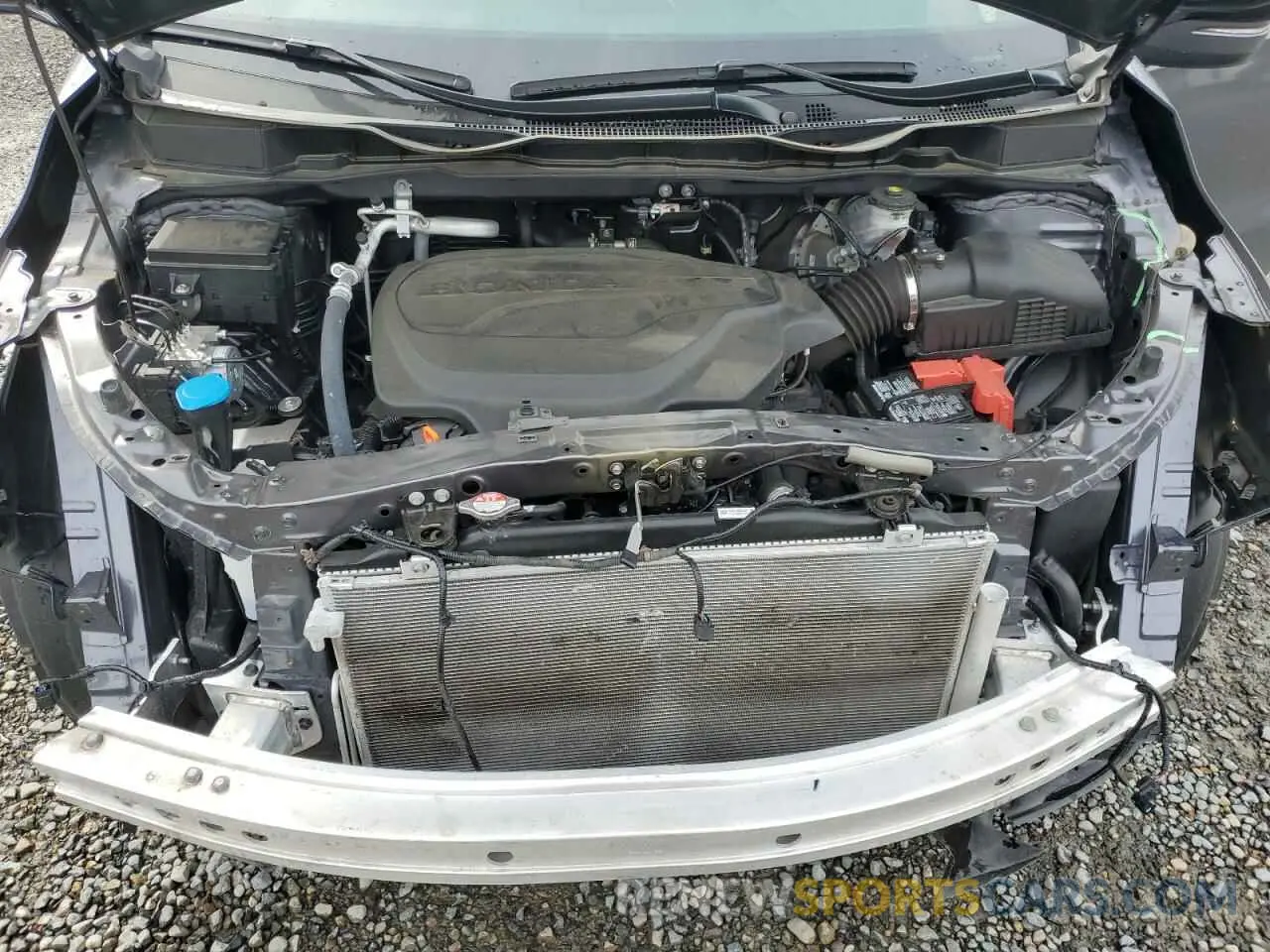12 Photograph of a damaged car 5FNRL6H66RB007026 HONDA All Models 2024