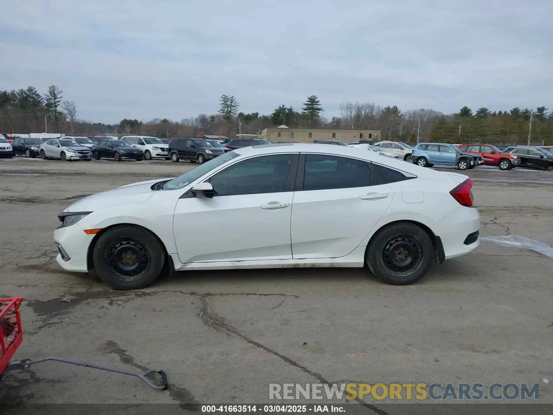 14 Photograph of a damaged car 19XFC1F30KE015570 HONDA CIVIC 2019