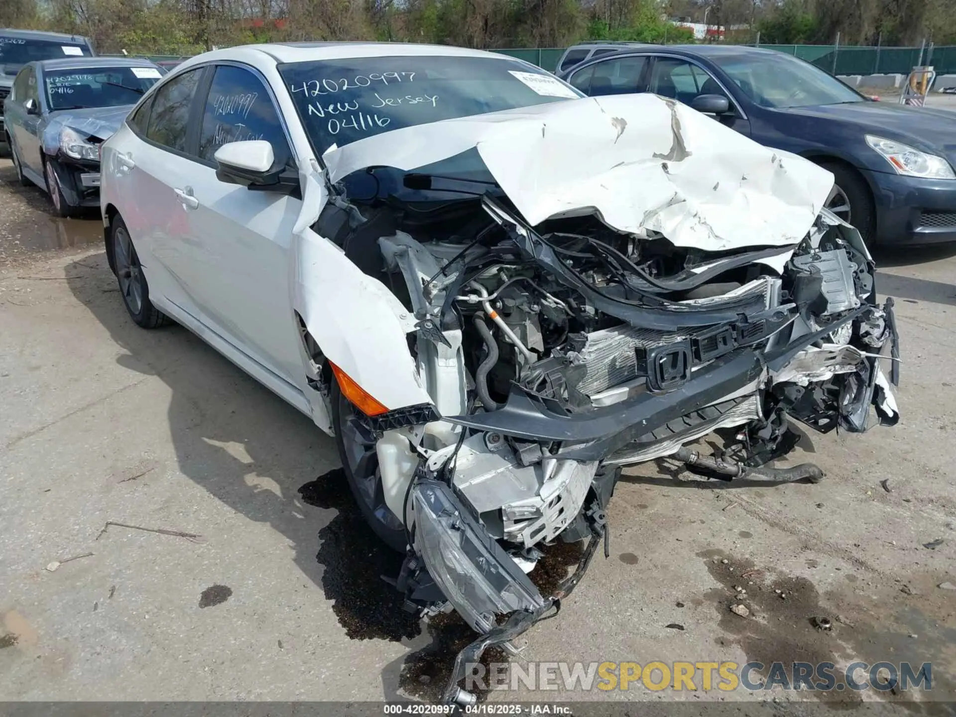 19 Photograph of a damaged car 19XFC1F30KE208186 HONDA CIVIC 2019