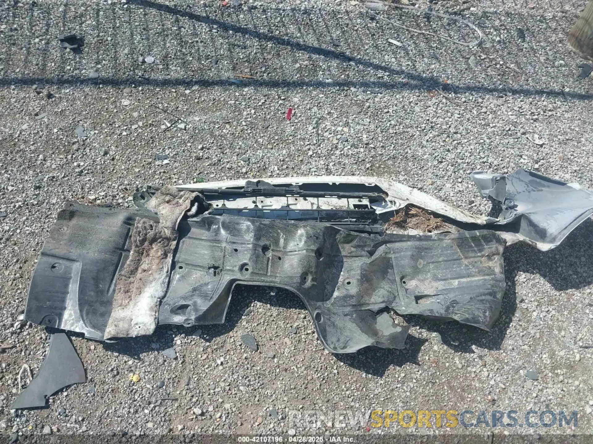 12 Photograph of a damaged car 19XFC1F31KE014525 HONDA CIVIC 2019