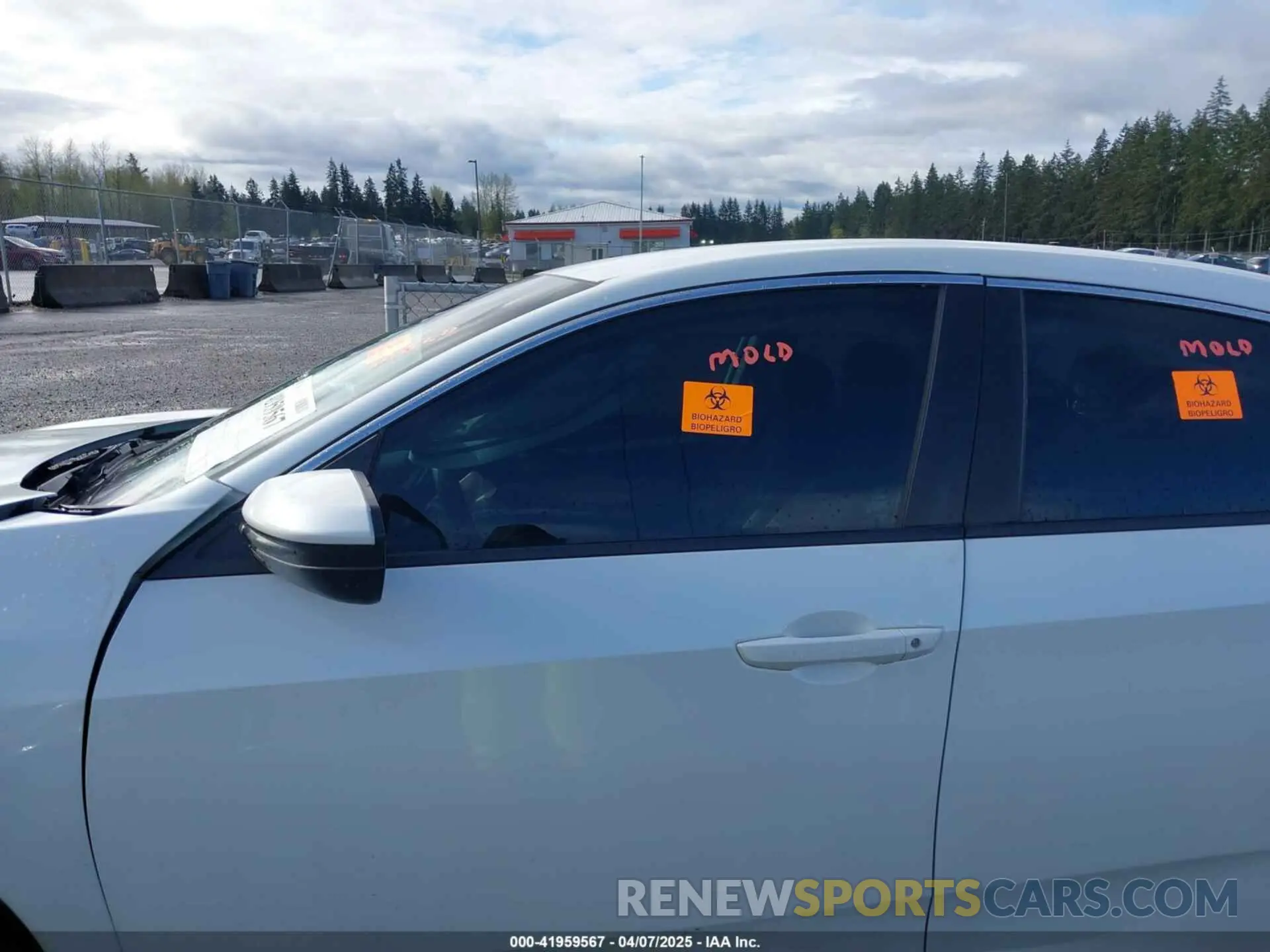 14 Photograph of a damaged car 19XFC2F63KE208733 HONDA CIVIC 2019
