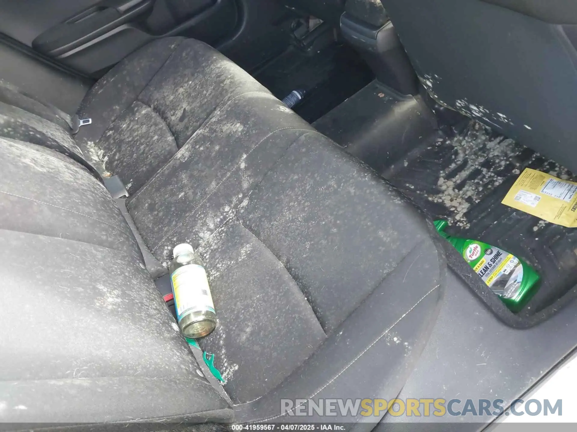 19 Photograph of a damaged car 19XFC2F63KE208733 HONDA CIVIC 2019