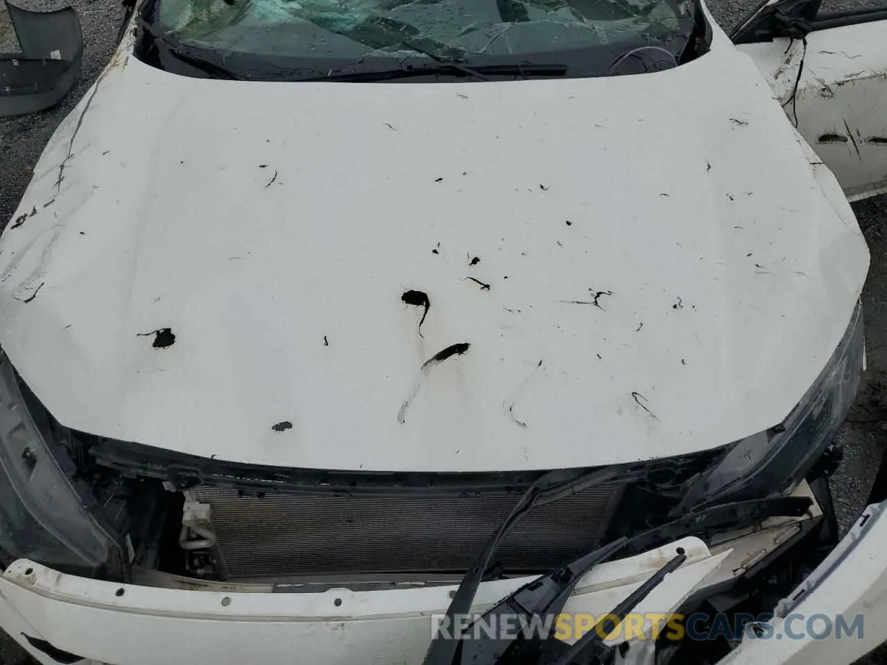 11 Photograph of a damaged car 19XFC1F77LE009785 HONDA CIVIC 2020