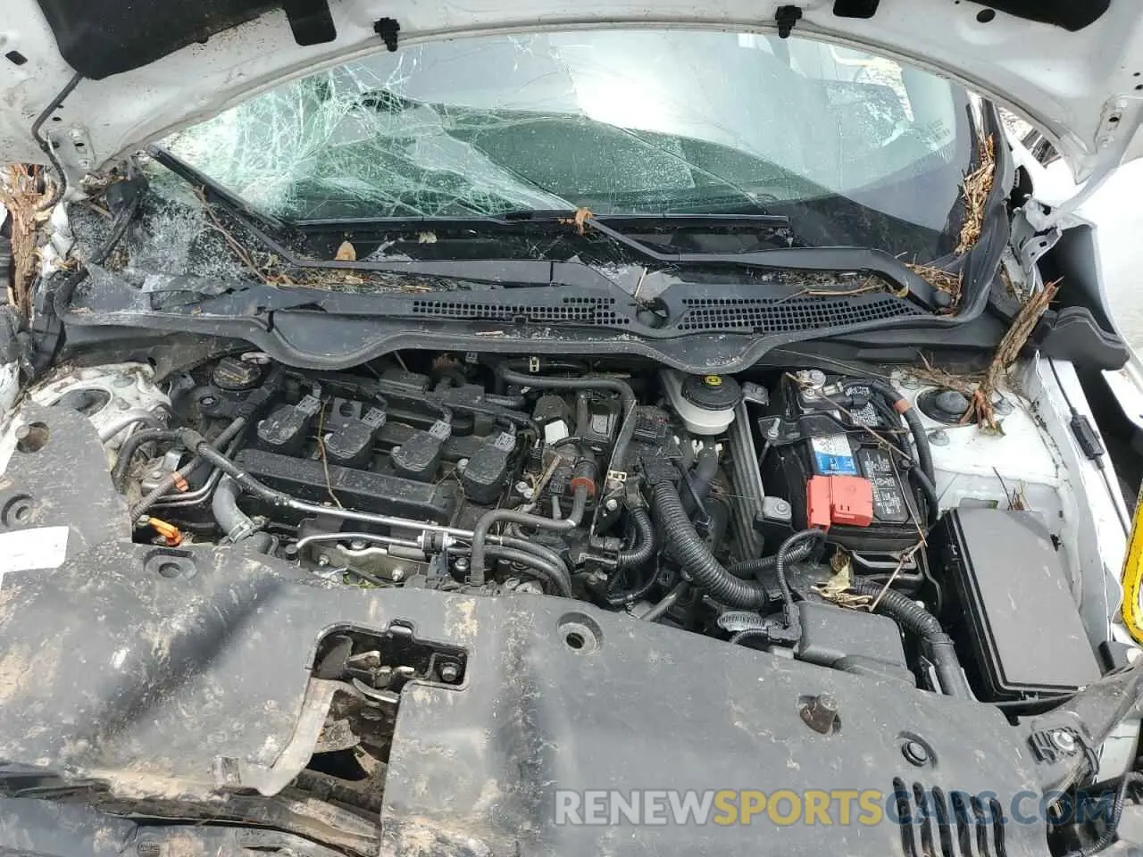 11 Photograph of a damaged car 19XFC1F36ME201794 HONDA CIVIC 2021