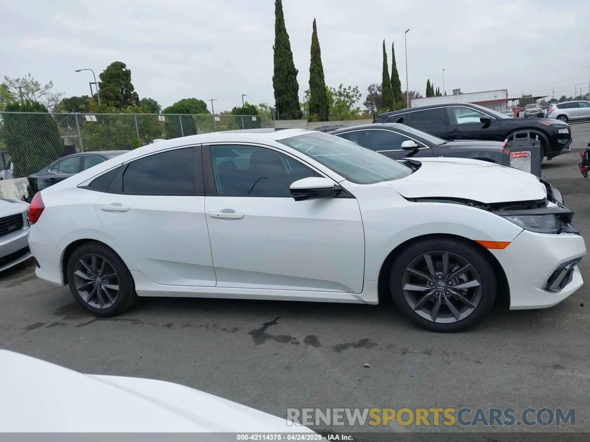 13 Photograph of a damaged car 19XFC1F3XME203726 HONDA CIVIC 2021