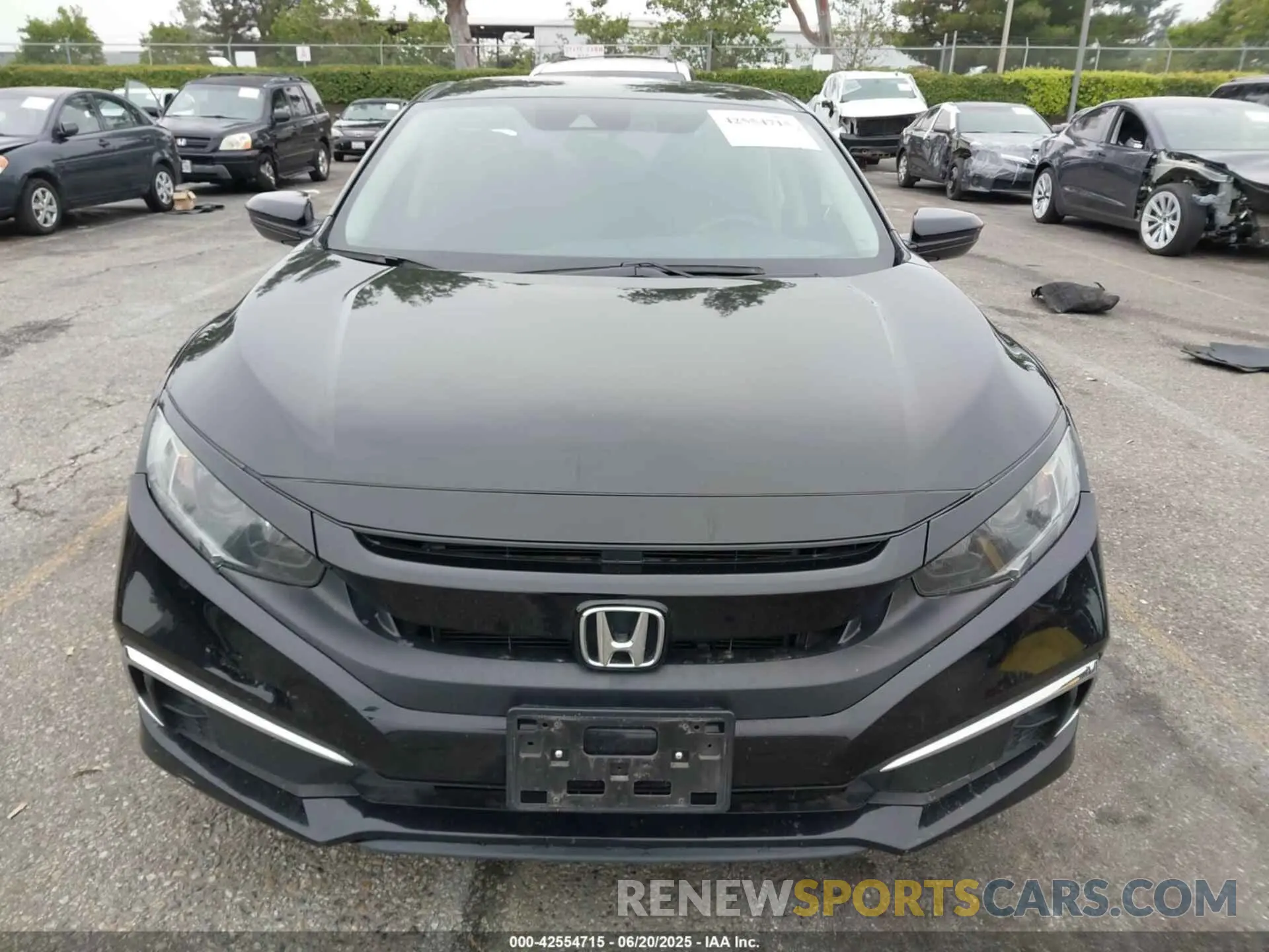 13 Photograph of a damaged car 2HGFC2F60MH547782 HONDA CIVIC 2021
