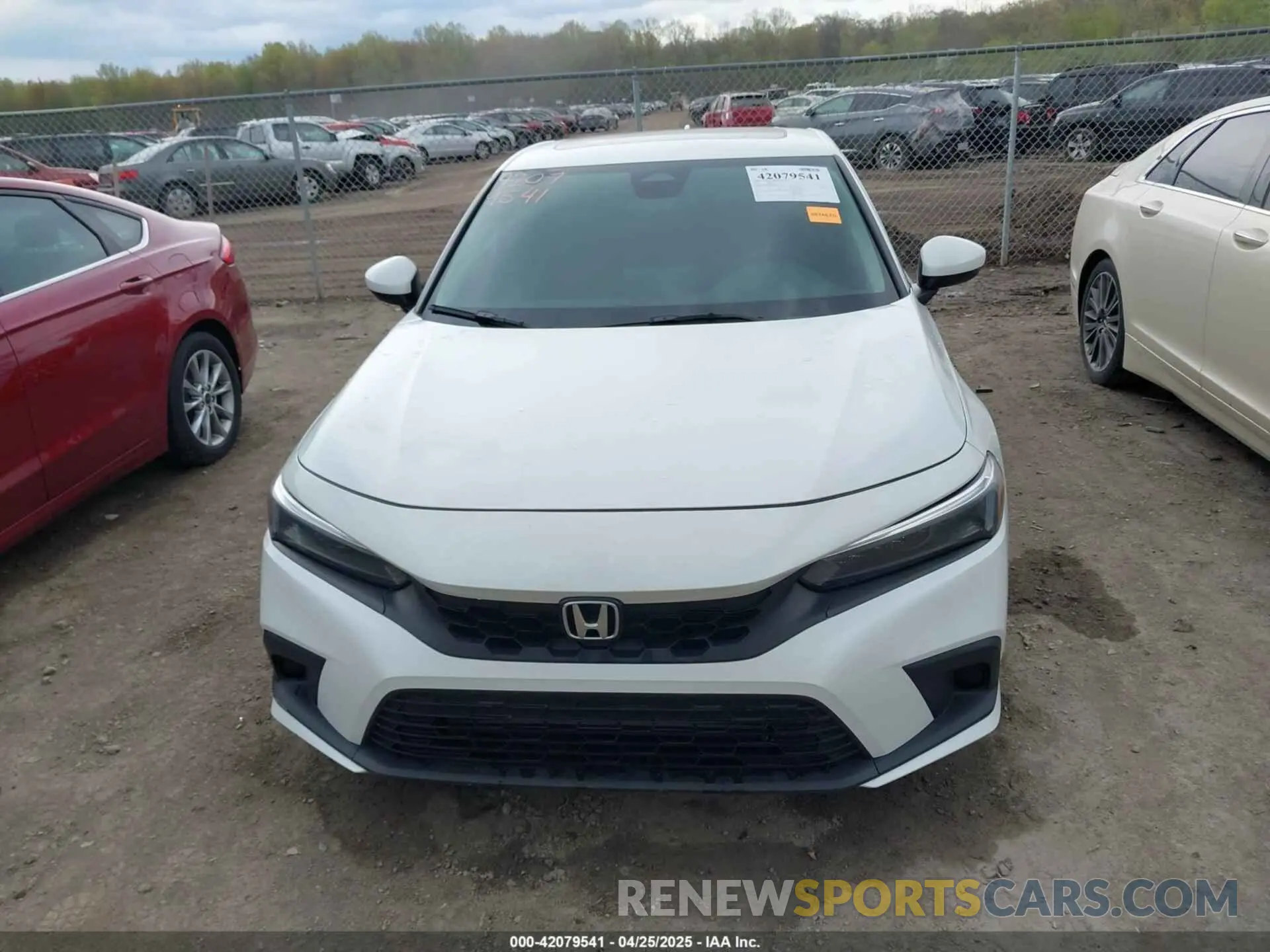 12 Photograph of a damaged car 19XFL1H78PE014108 HONDA CIVIC 2023