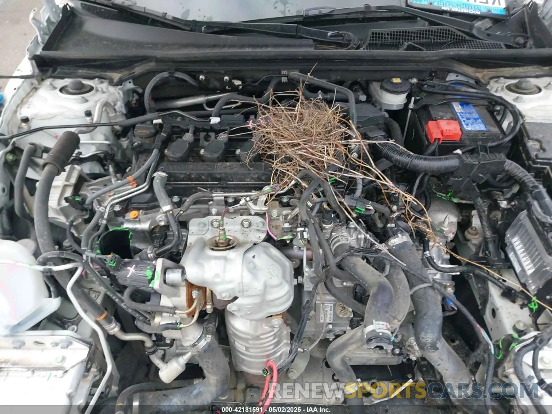10 Photograph of a damaged car 19XFL1H87PE002914 HONDA CIVIC 2023