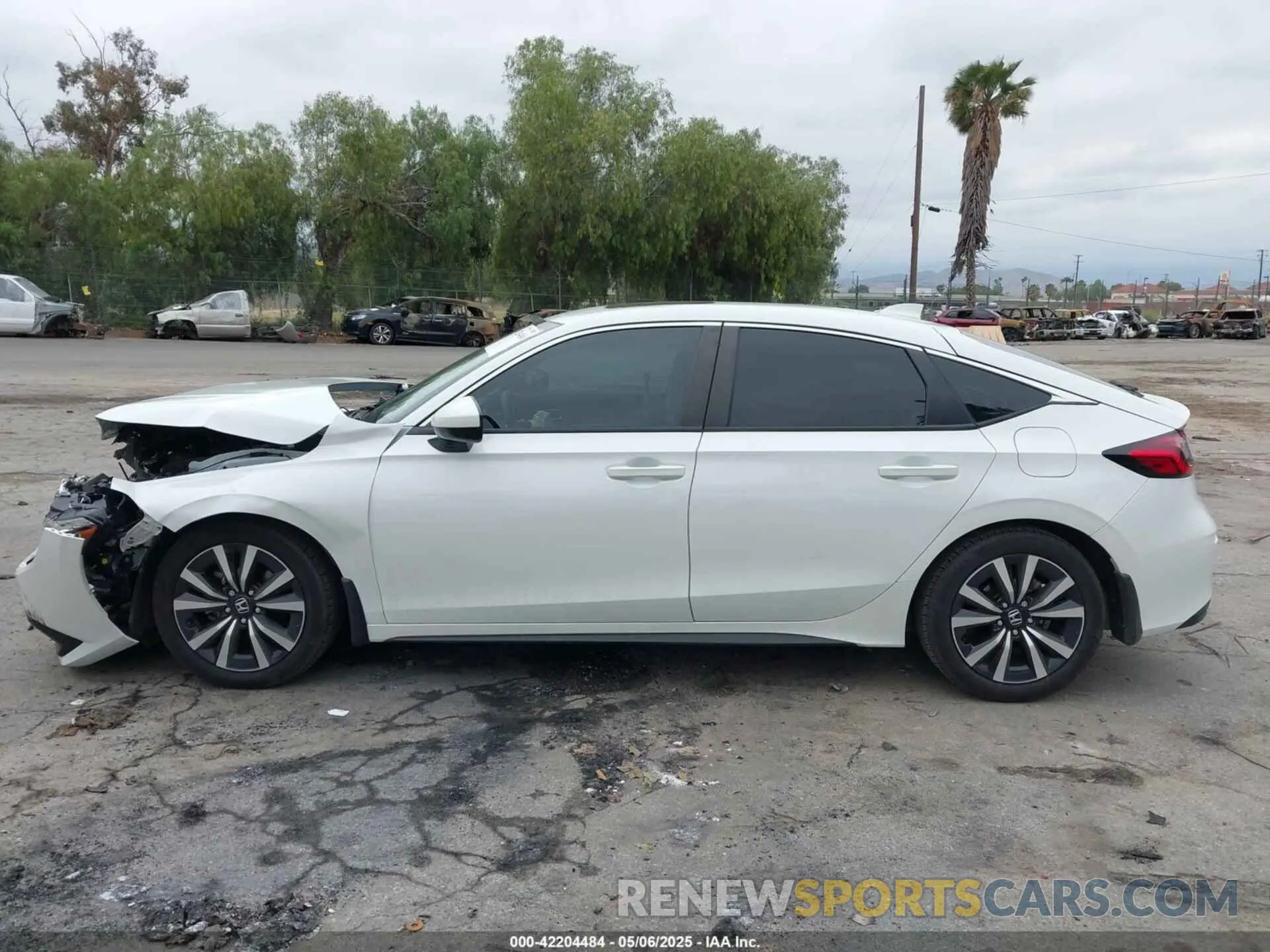 14 Photograph of a damaged car 19XFL1H73RE003908 HONDA CIVIC 2024