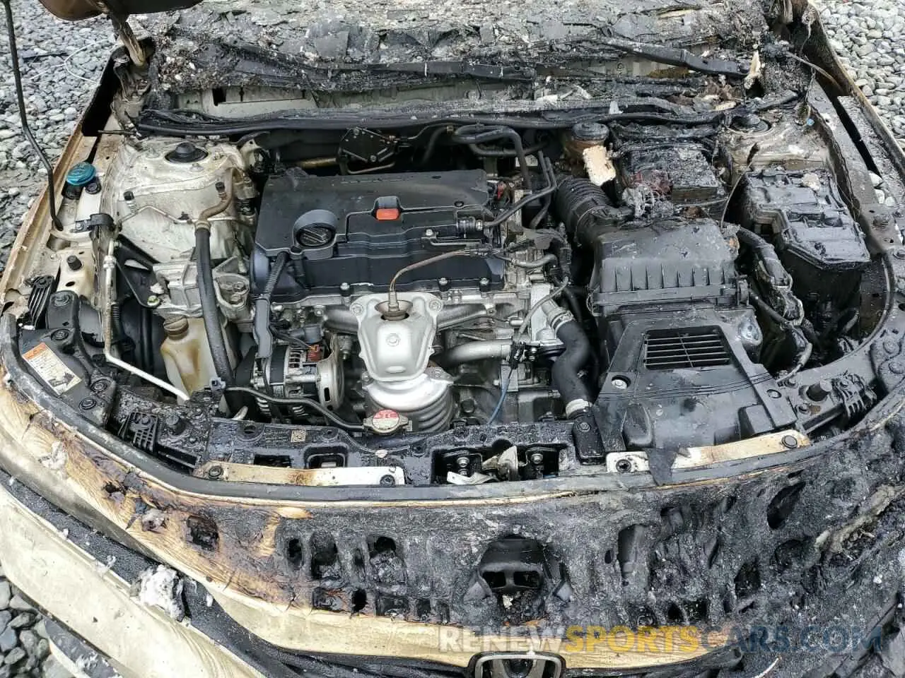 11 Photograph of a damaged car 2HGFE2F53RH557537 HONDA CIVIC 2024