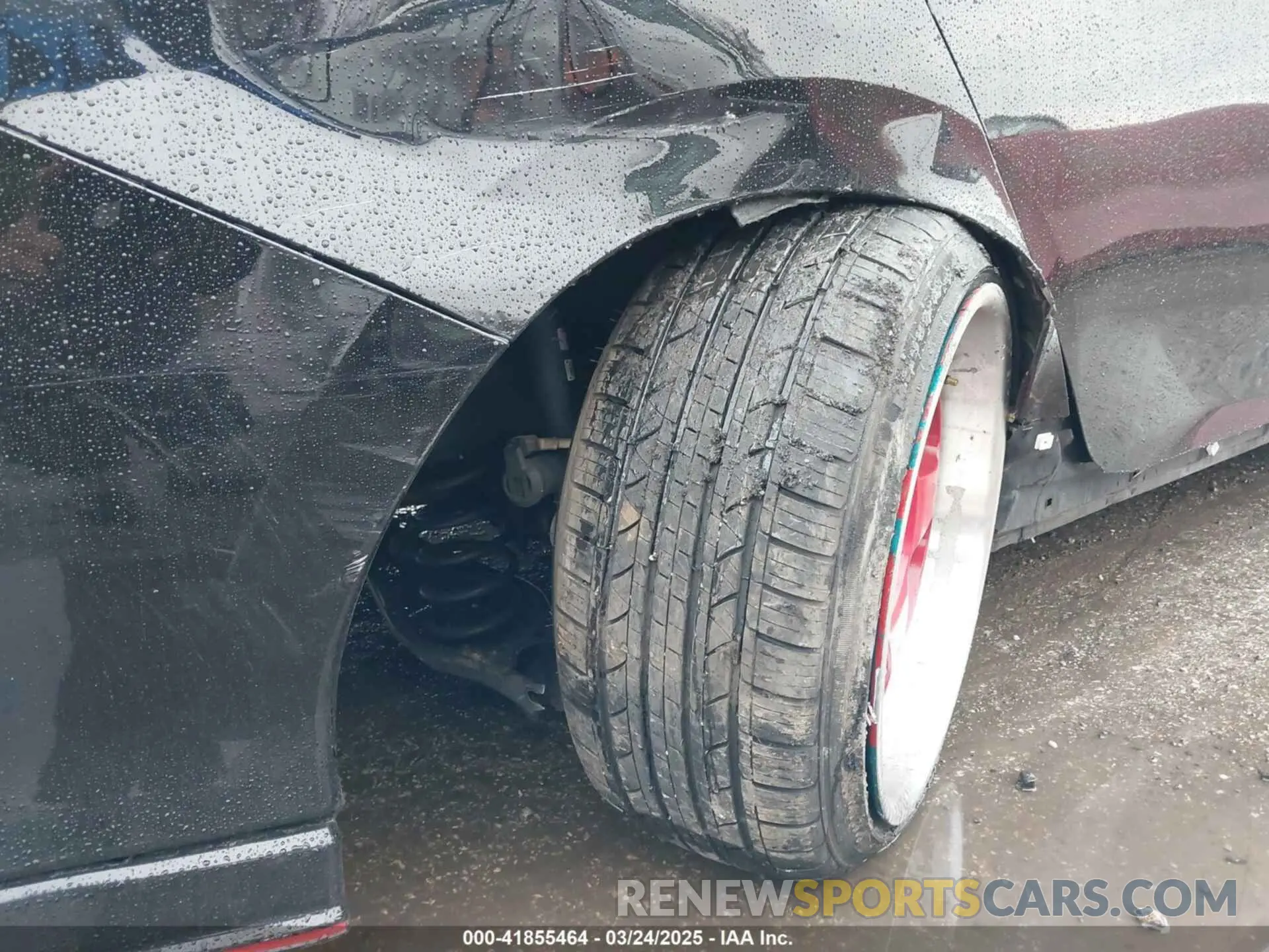 19 Photograph of a damaged car 2HGFC1E51KH704185 HONDA CIVIC SI 2019