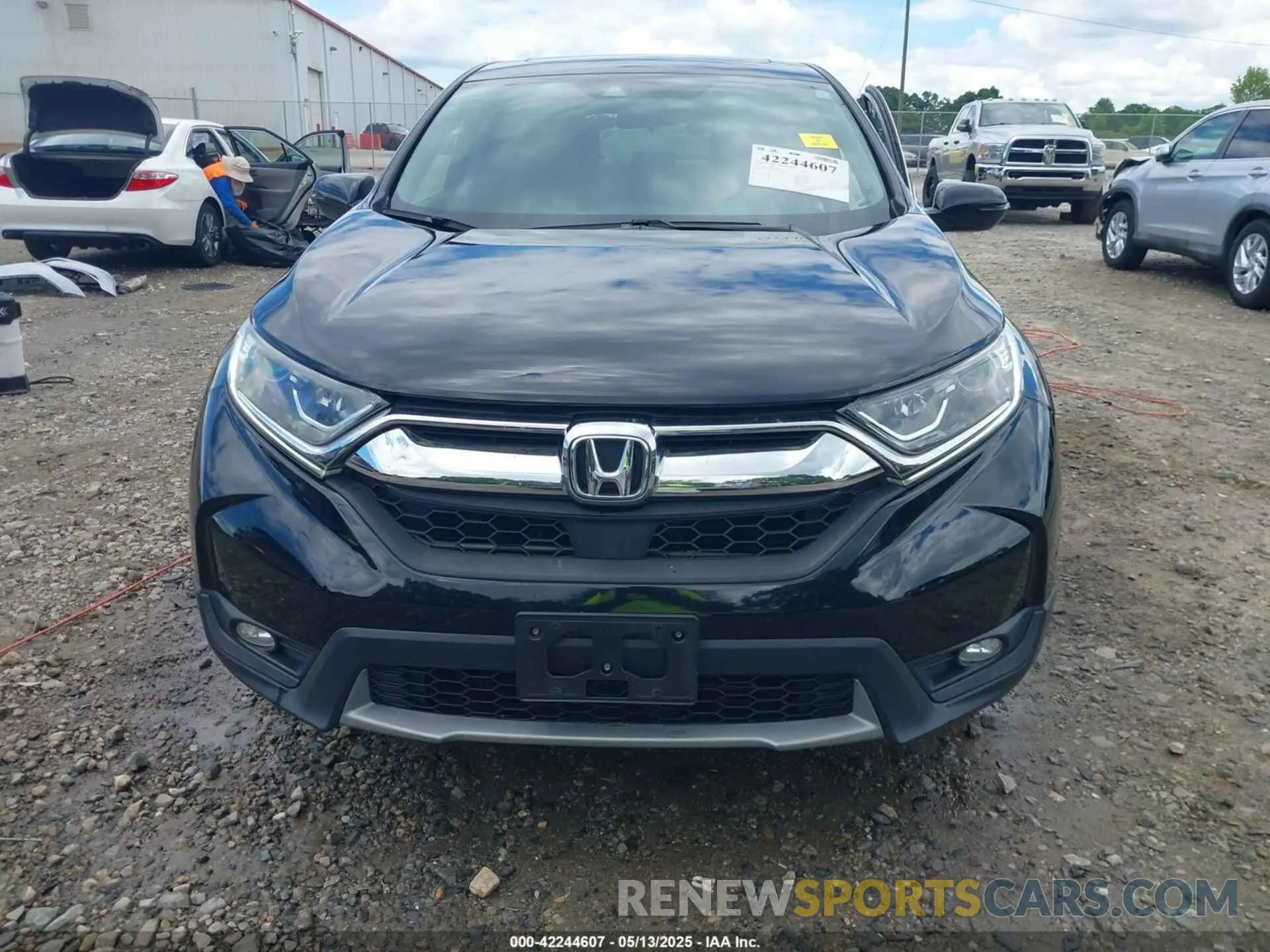 12 Photograph of a damaged car 2HKRW1H58KH513031 HONDA CR-V 2019