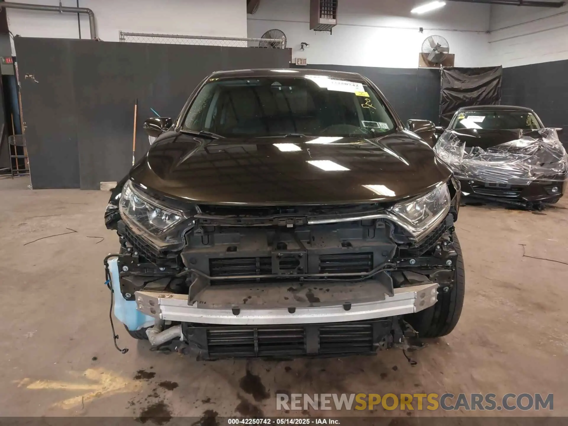 13 Photograph of a damaged car 2HKRW2H50KH605725 HONDA CR-V 2019