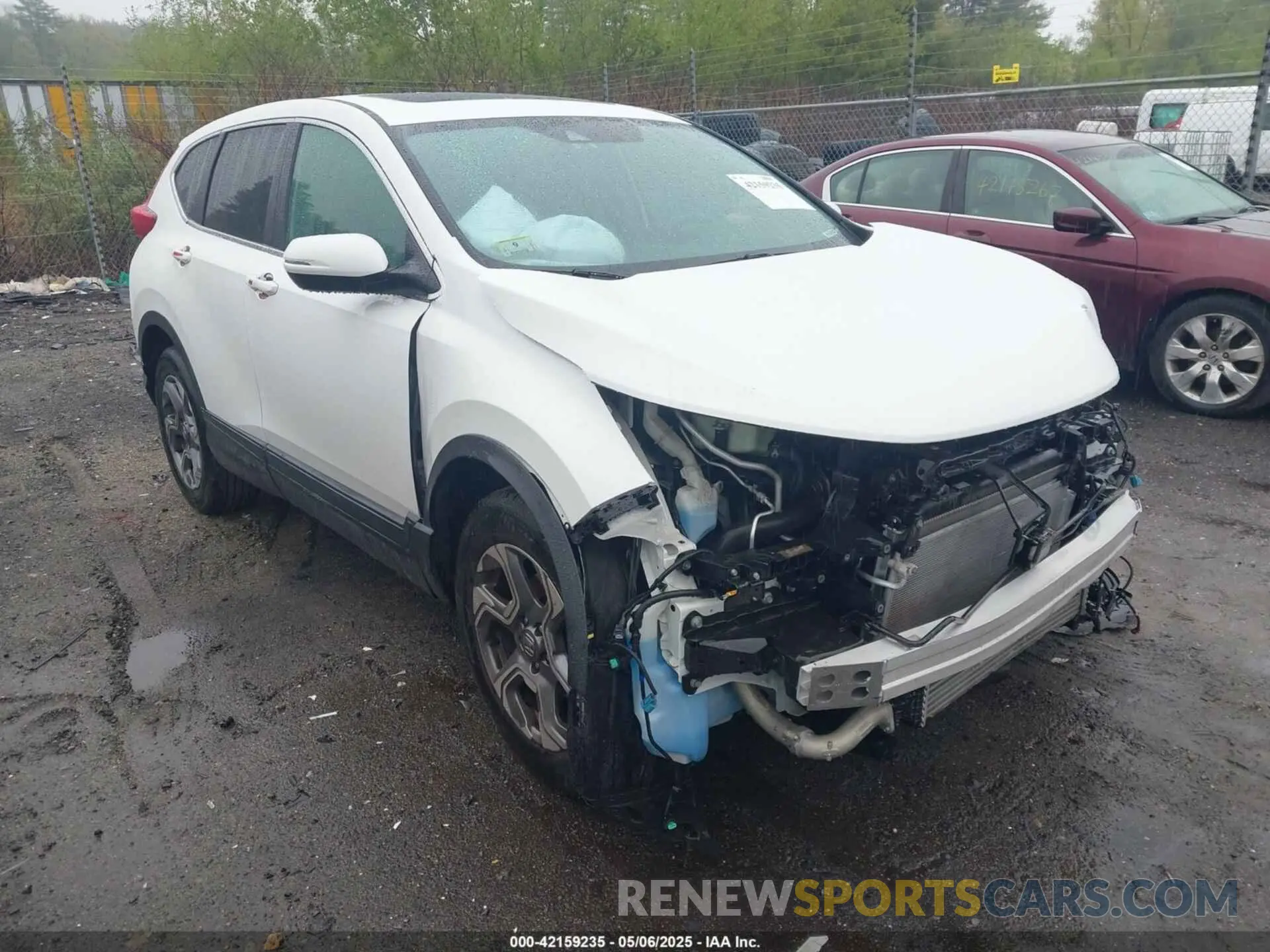1 Photograph of a damaged car 2HKRW2H52KH660693 HONDA CR-V 2019