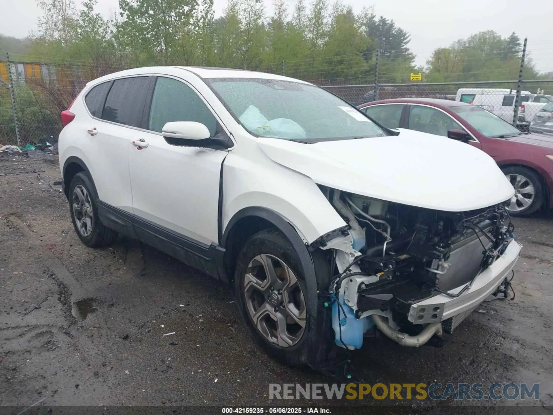 14 Photograph of a damaged car 2HKRW2H52KH660693 HONDA CR-V 2019