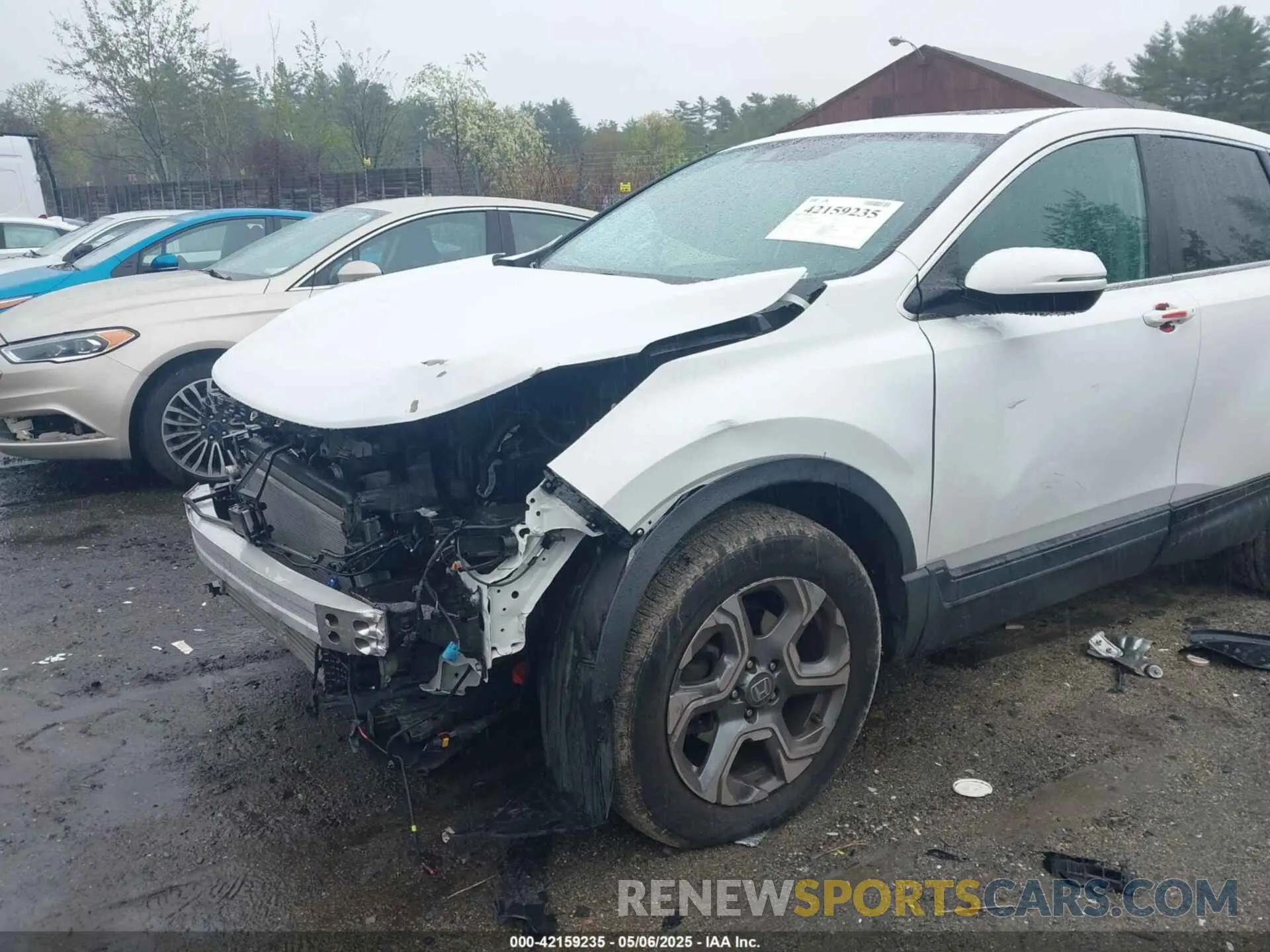 6 Photograph of a damaged car 2HKRW2H52KH660693 HONDA CR-V 2019