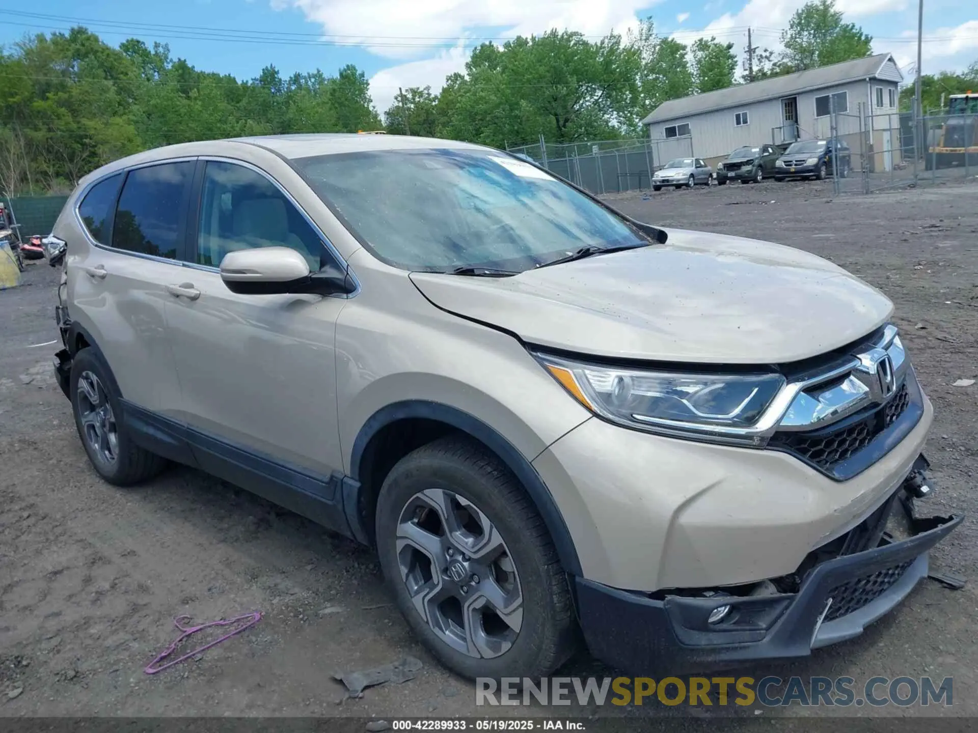 1 Photograph of a damaged car 2HKRW2H56KH634372 HONDA CR-V 2019