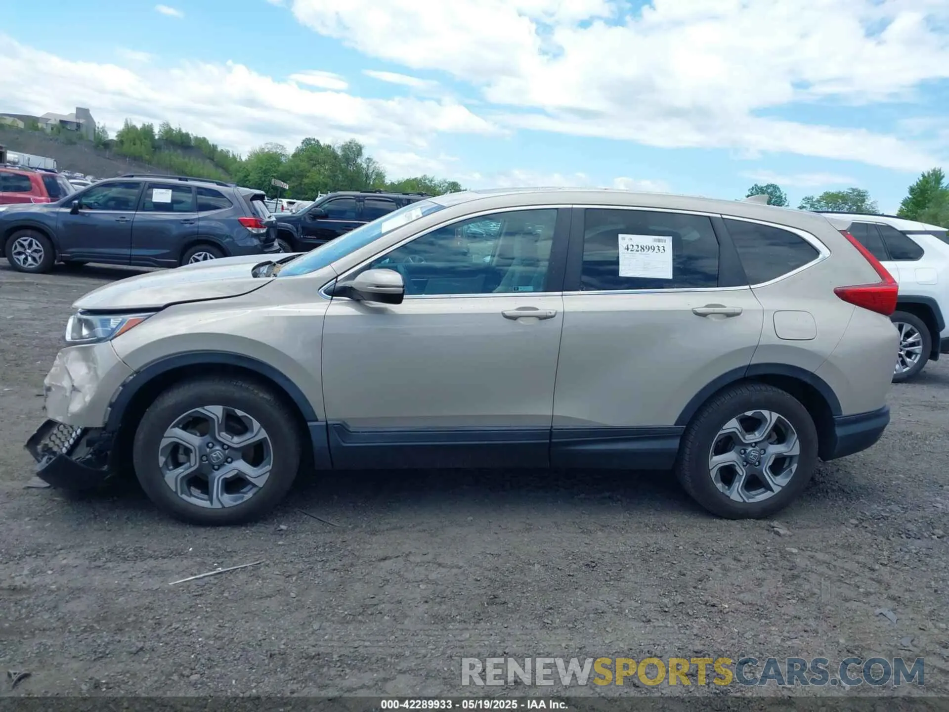 14 Photograph of a damaged car 2HKRW2H56KH634372 HONDA CR-V 2019