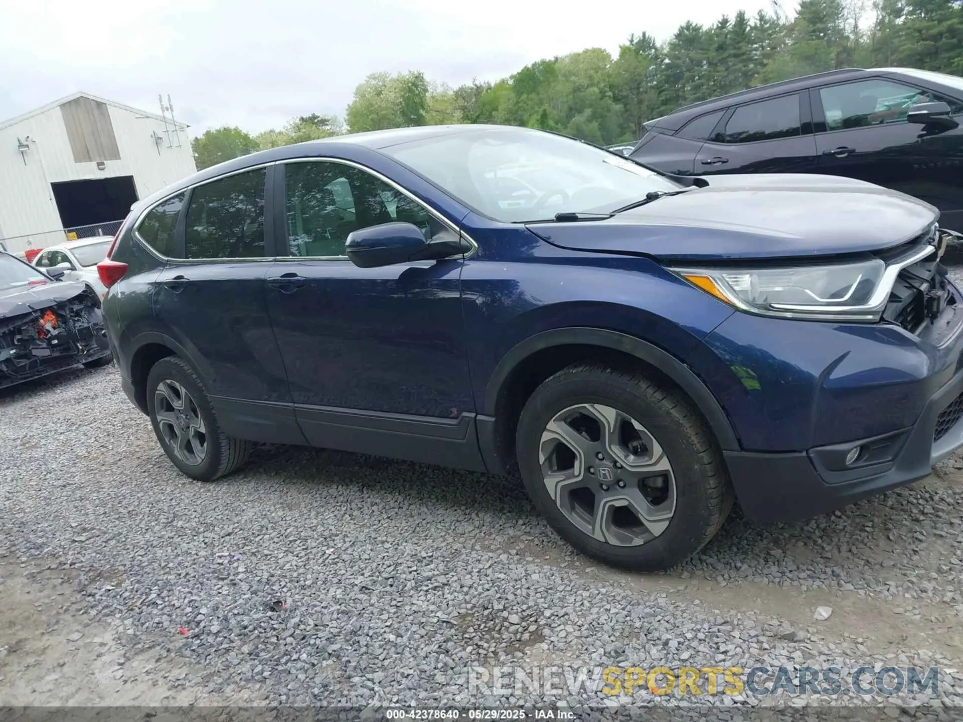13 Photograph of a damaged car 2HKRW2H59KH654034 HONDA CR-V 2019