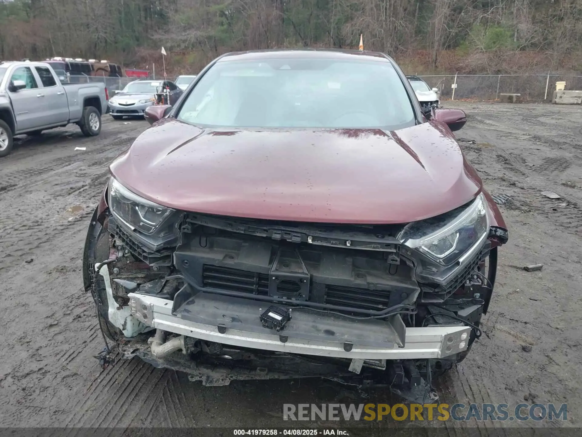 12 Photograph of a damaged car 2HKRW2H87KH620880 HONDA CR-V 2019