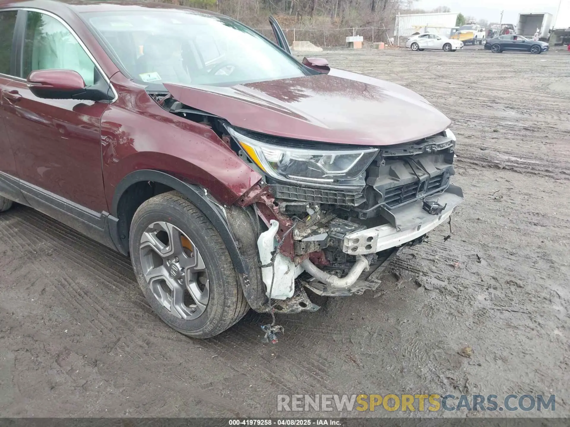 6 Photograph of a damaged car 2HKRW2H87KH620880 HONDA CR-V 2019