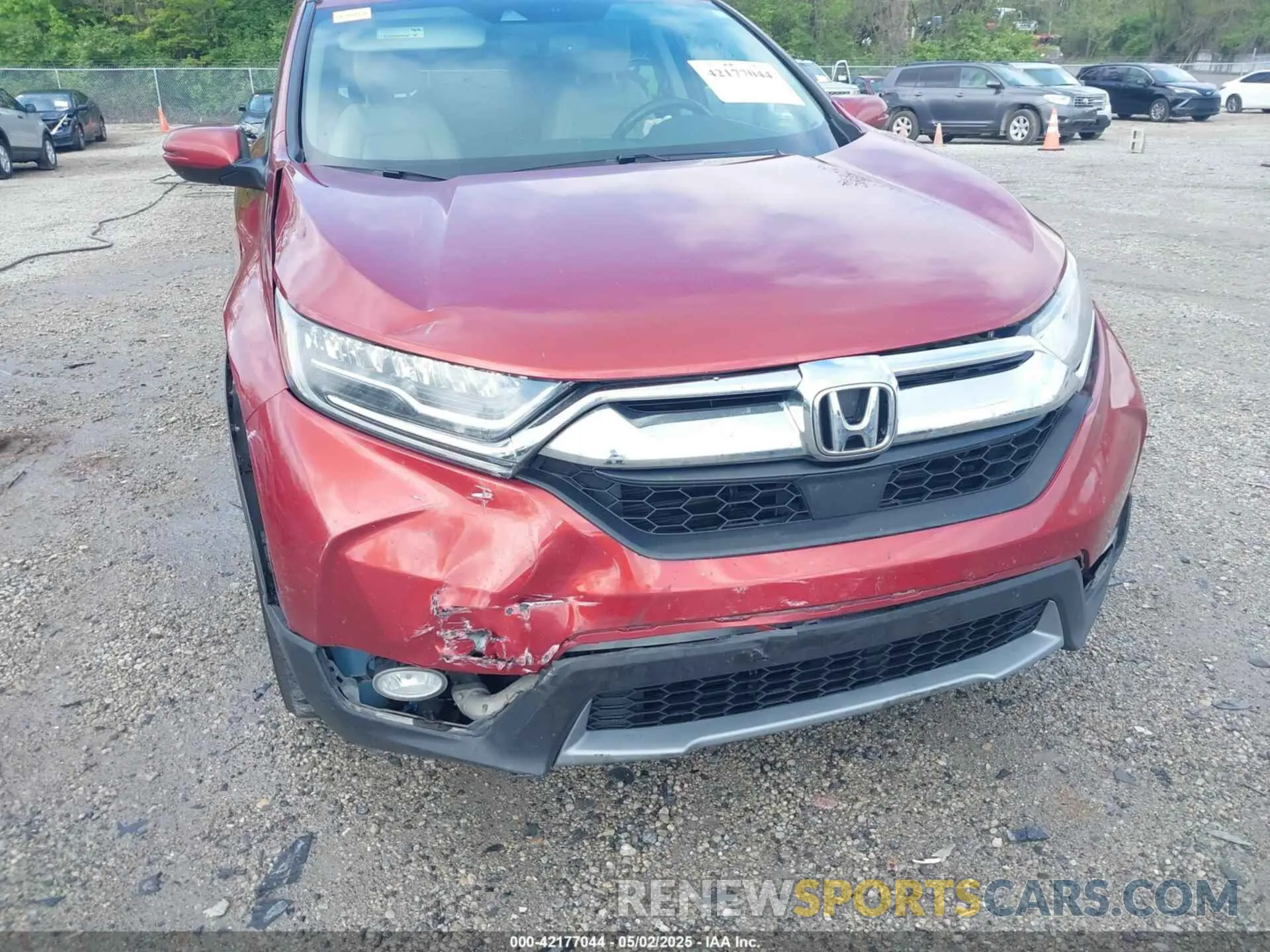 6 Photograph of a damaged car 2HKRW2H92KH626997 HONDA CR-V 2019